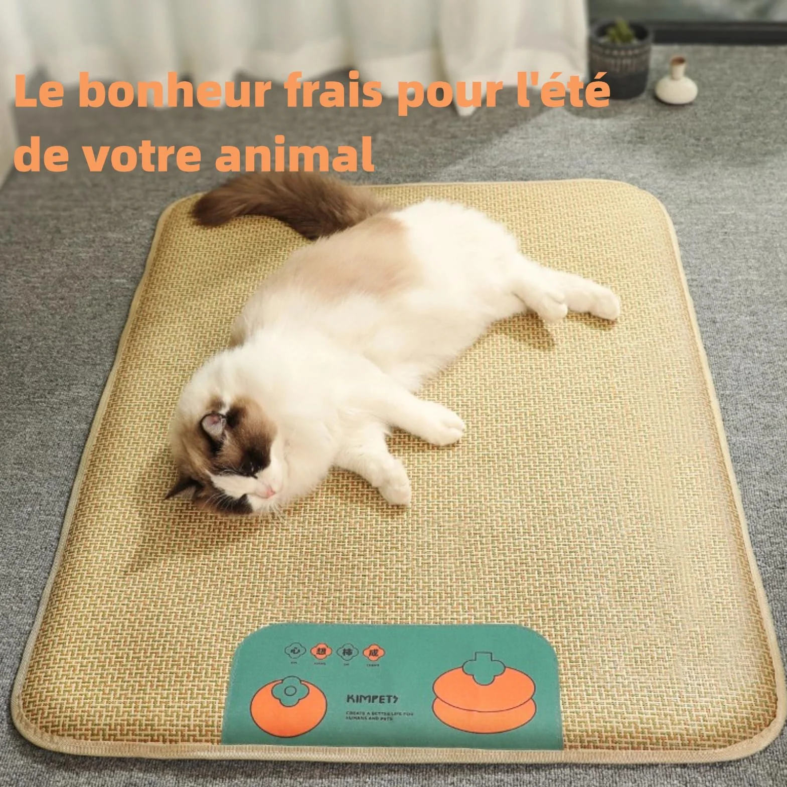 Couverture rafraîchissante pour Chiens Coussin rafraîchissant en rotin Naturel 60×50
