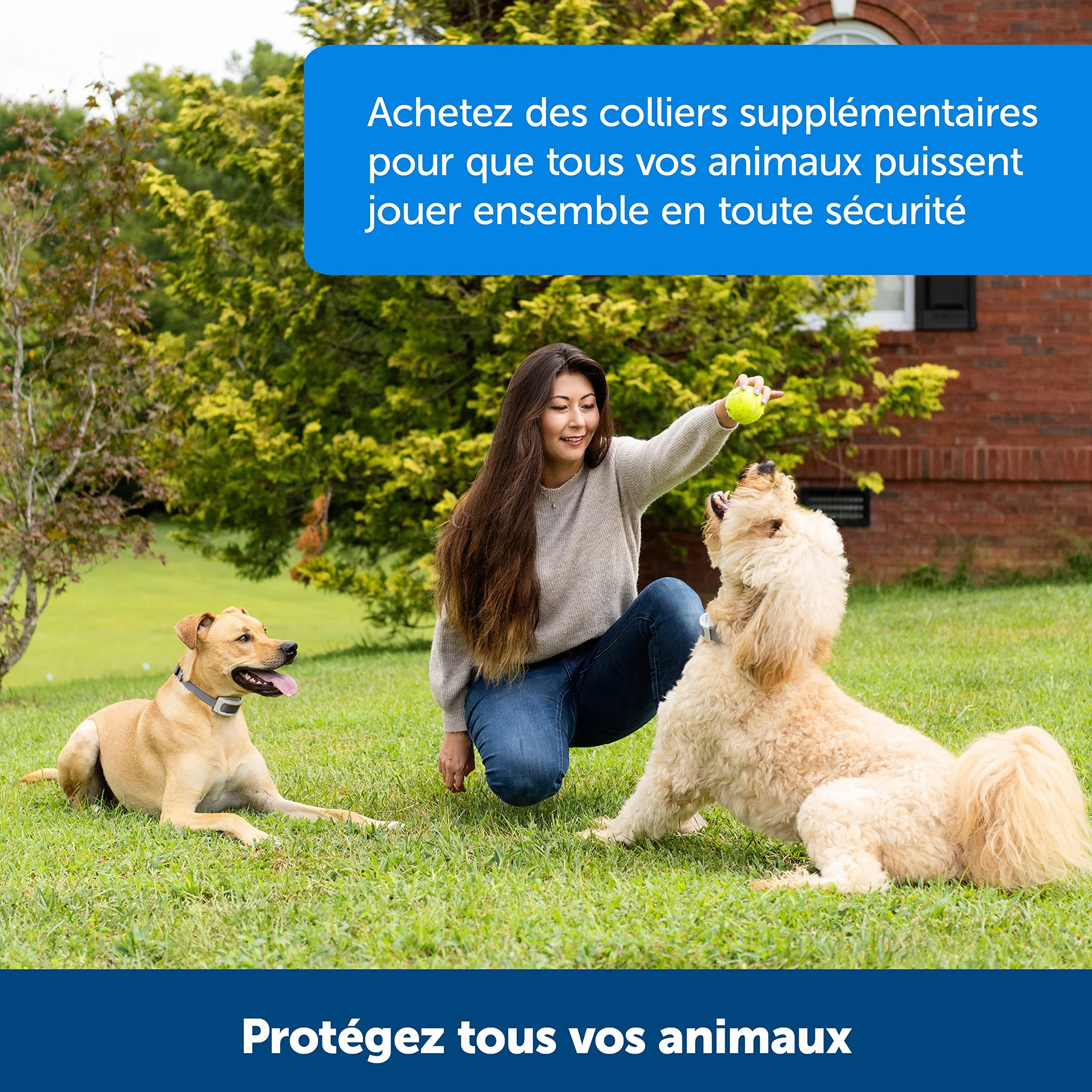 PetSafe Collier-récepteur Rechargeable pour clôture Anti-Fugue Classique avec Fil - 7 Niveaux de Stimulation réglables pour Chiens et Chats dès 2,3 kg