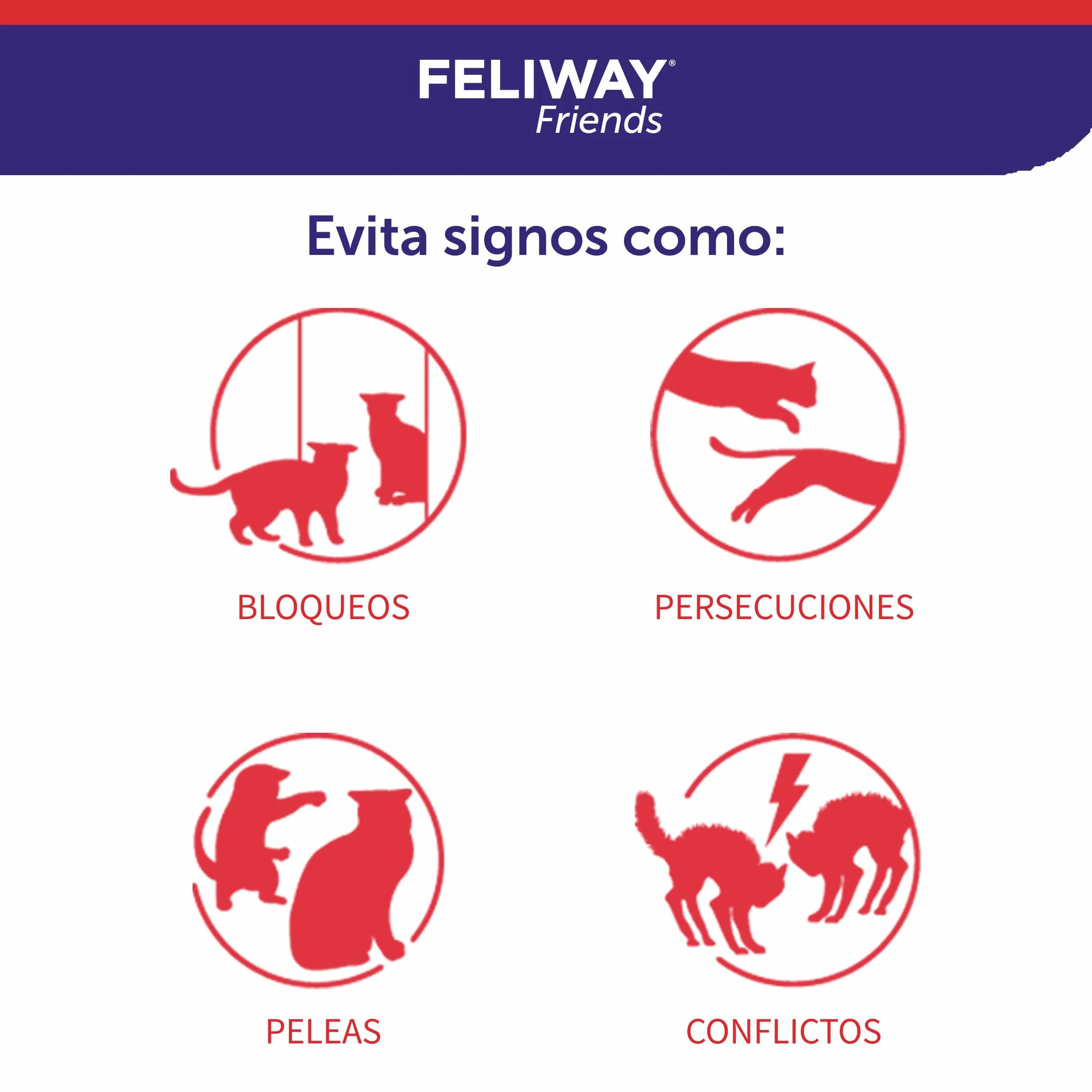 FELIWAY Friends Pack 3 Recharges Réduit Conflits Tensions Bagarres Chats Scientifiquement Prouvé 3x30 Jours