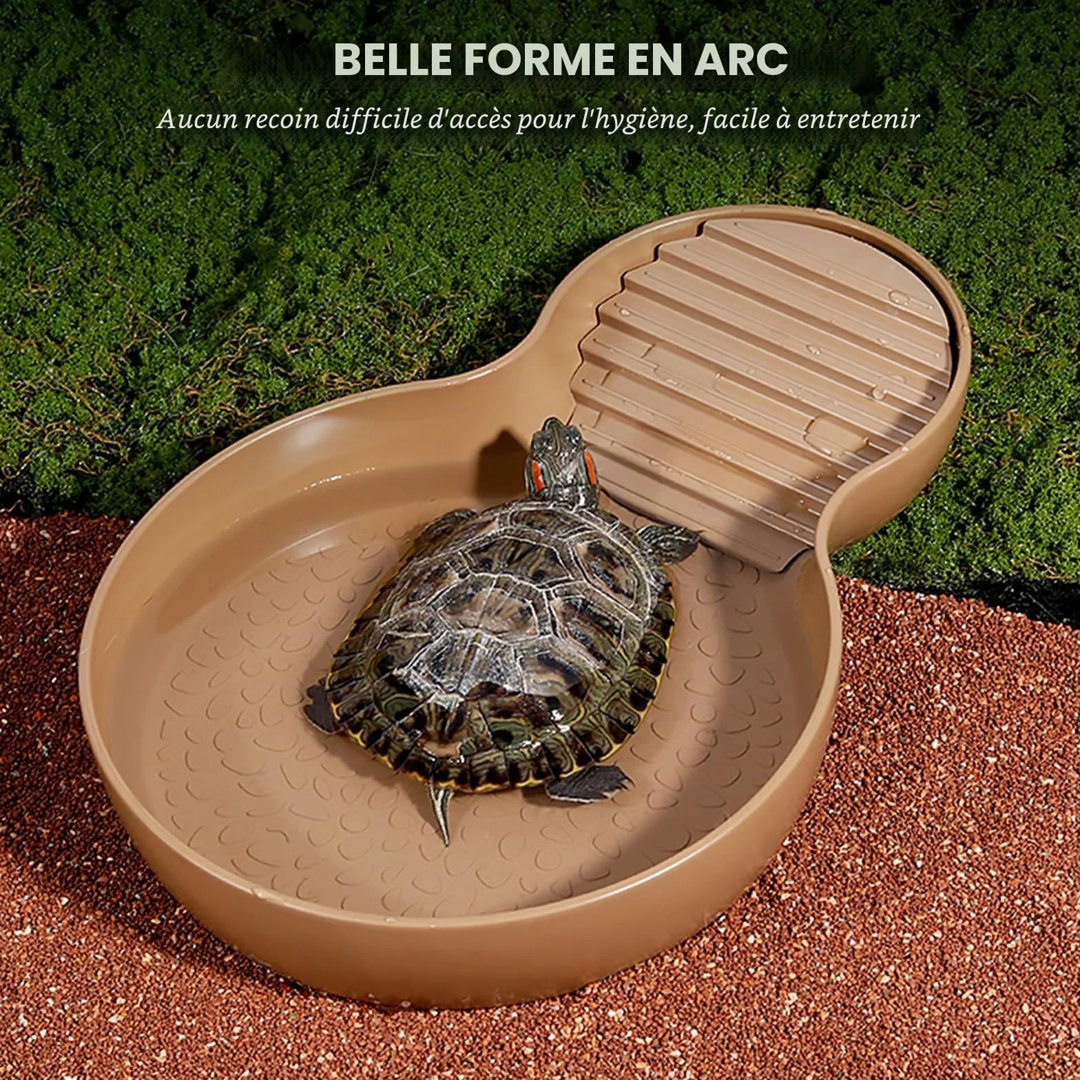 Abreuvoir Tortue Terrestre, Baignoire pour Reptiles avec Rampe, Bol à Eau pour Petites Tortues, Lézard, Amphibien et Autres Petits Reptiles (26,5 × 18 × 4,2 cm)