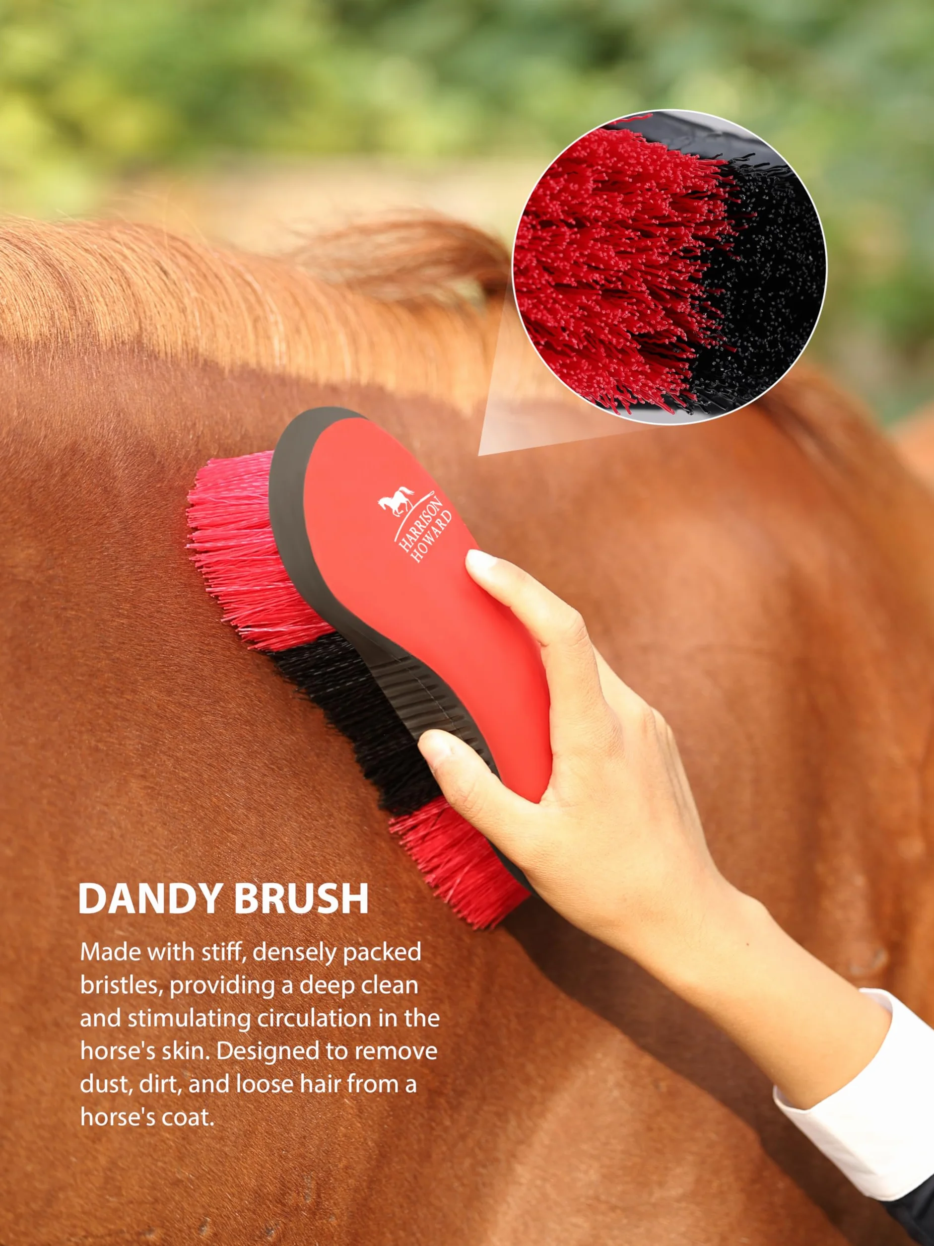 Harrison Howard Kit de 7 brosses de toilettage pour cheval avec sac de rangement Equine Care Rouge