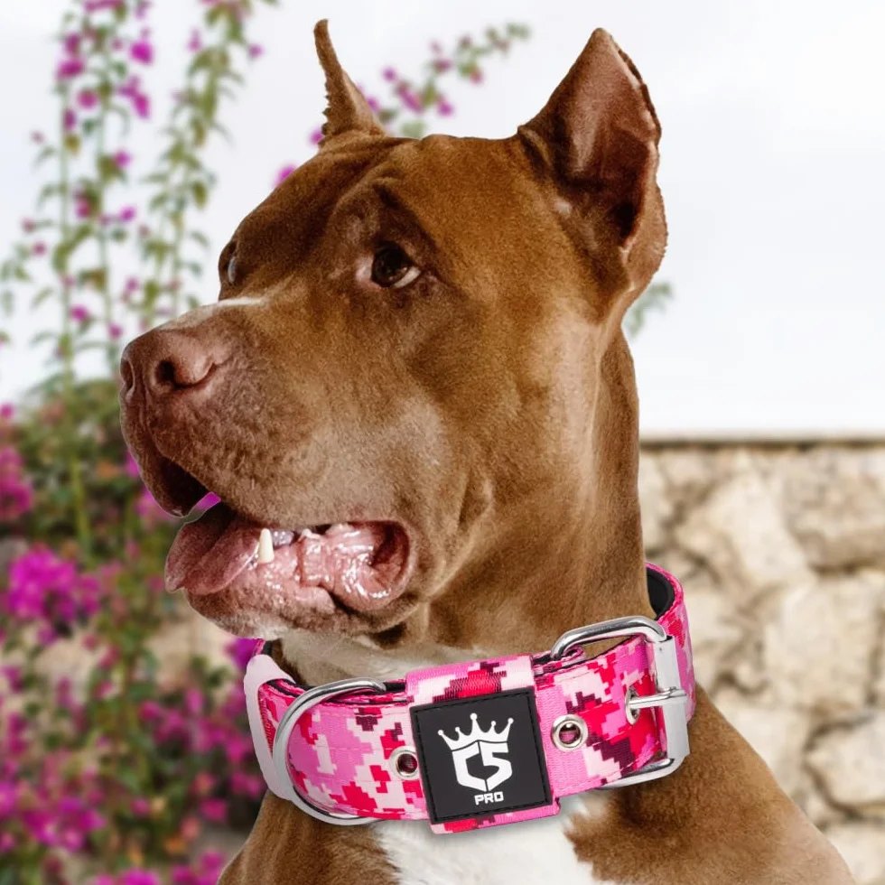 TSPRO Collier Tactique pour Chien Boucle Métal Réglable Largeur 3,8 cm Camo Rose M