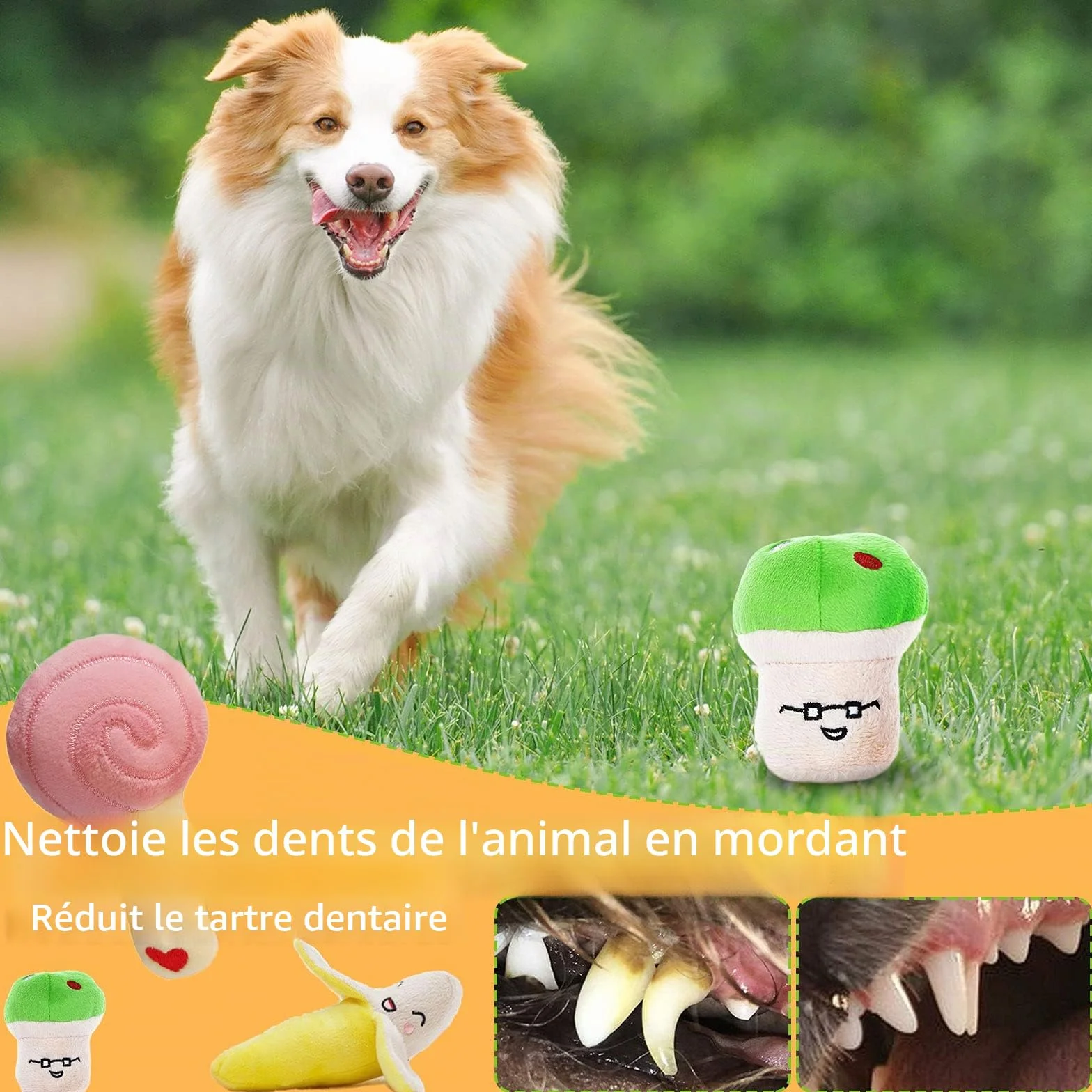 MAISITOO Ensemble Lot de 19 PCS Jouet à Mâcher Corde pour Chien Balle, Jouet Interactif pour Nettoyage de Dents Molaires