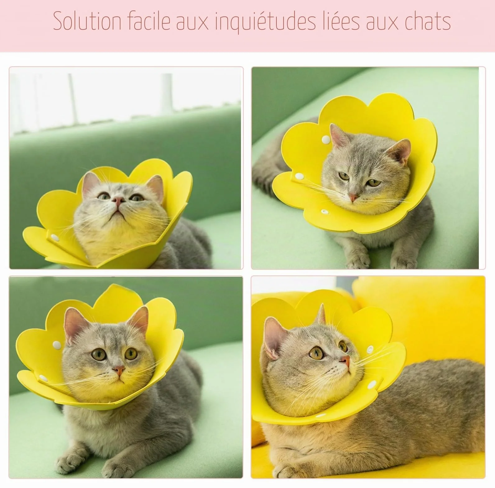 Colliers de protection pour chat anti-morsure Lot de 3 Taille M rose jaune orange