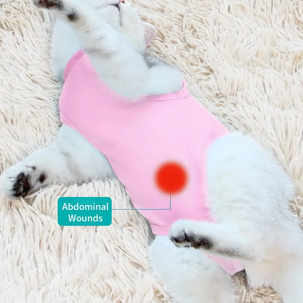 Gilet de Récupération Chat Chien Combinaison Récupération Animaux Plaies Abdominales Rosa M