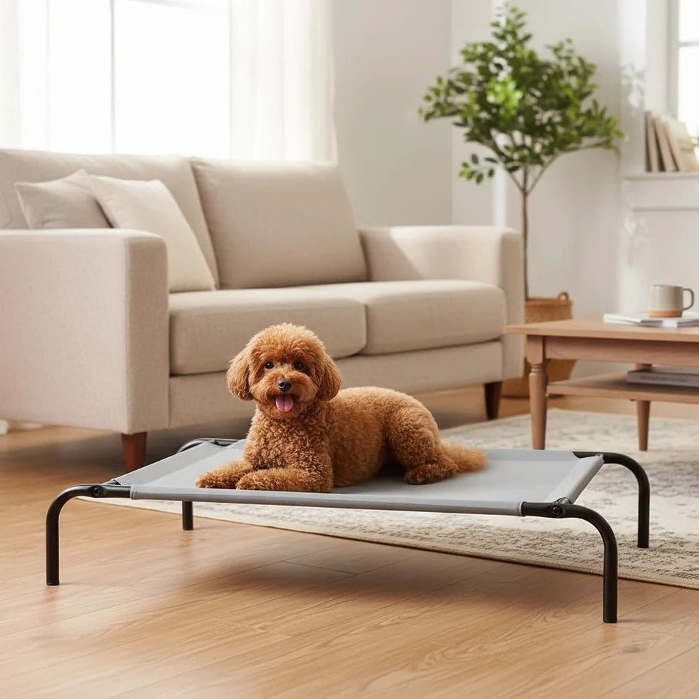 Amazon Basics Lit surélevé rafraîchissant chien Taille M Gris Textile 110x65x19 cm