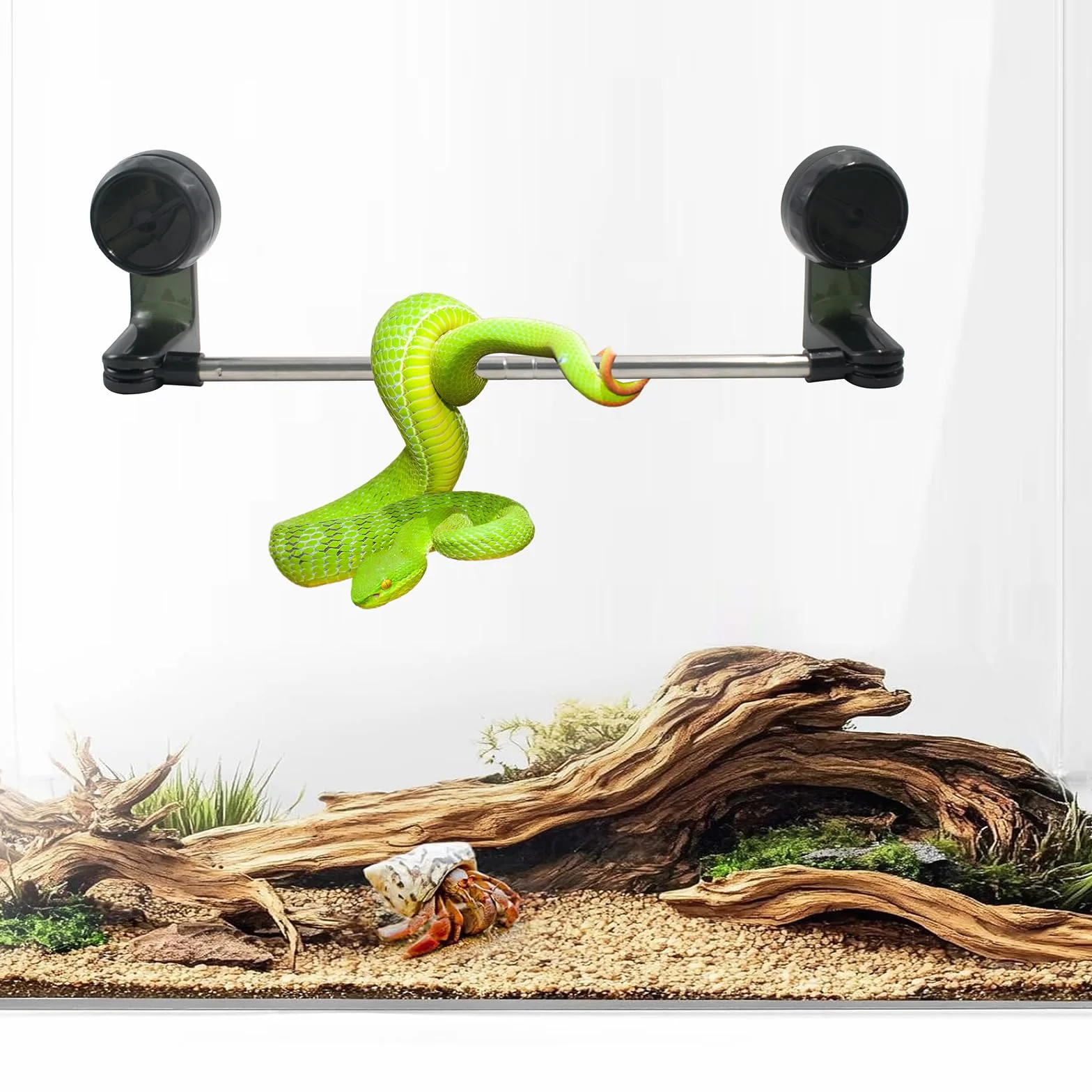 Poteau d'escalade pour Reptiles avec Ventouse Rétractable 30-60 cm pour Serpent, Lézards, Dragons Barbus