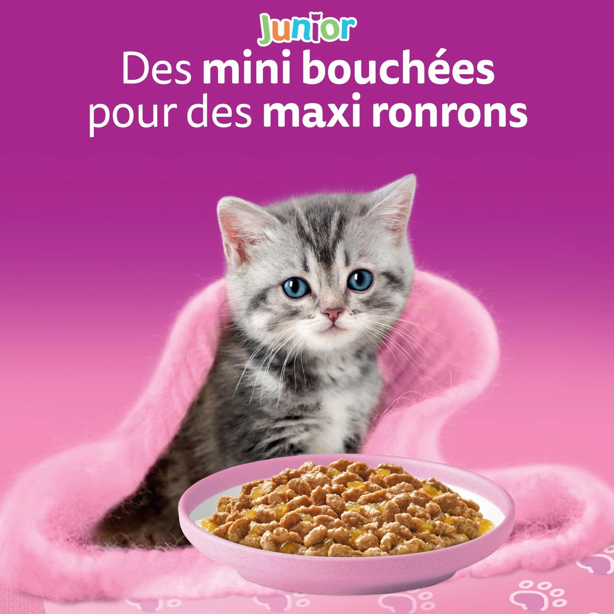WHISKAS Aliment humide en gelée Chat junior 12x85g Festins à la Volaille Lot de 4 48 Sachets