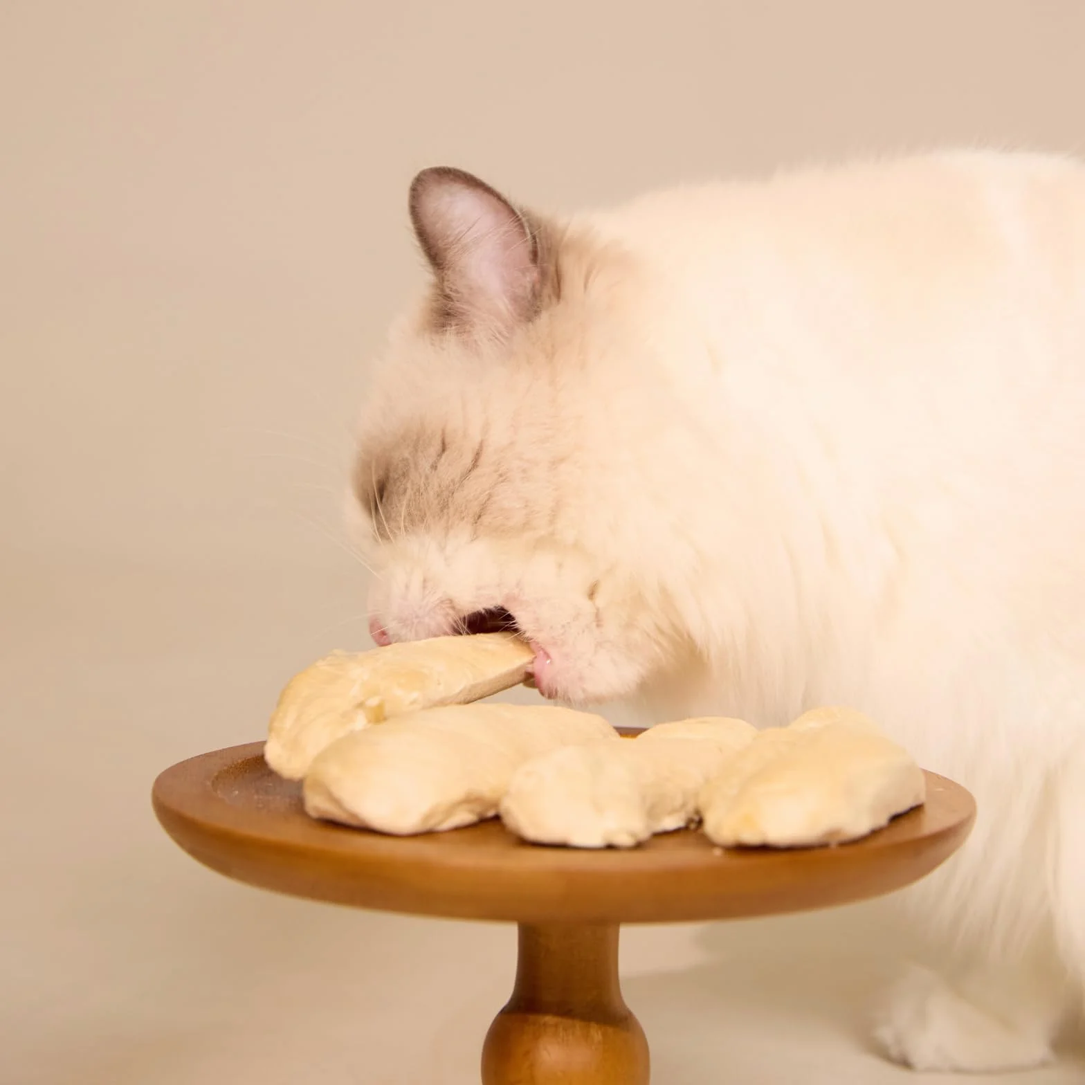 Friandises lyophilisées pour Chats – Blanc de Poulet 100% Mono-protéine, sans céréales, 50 g