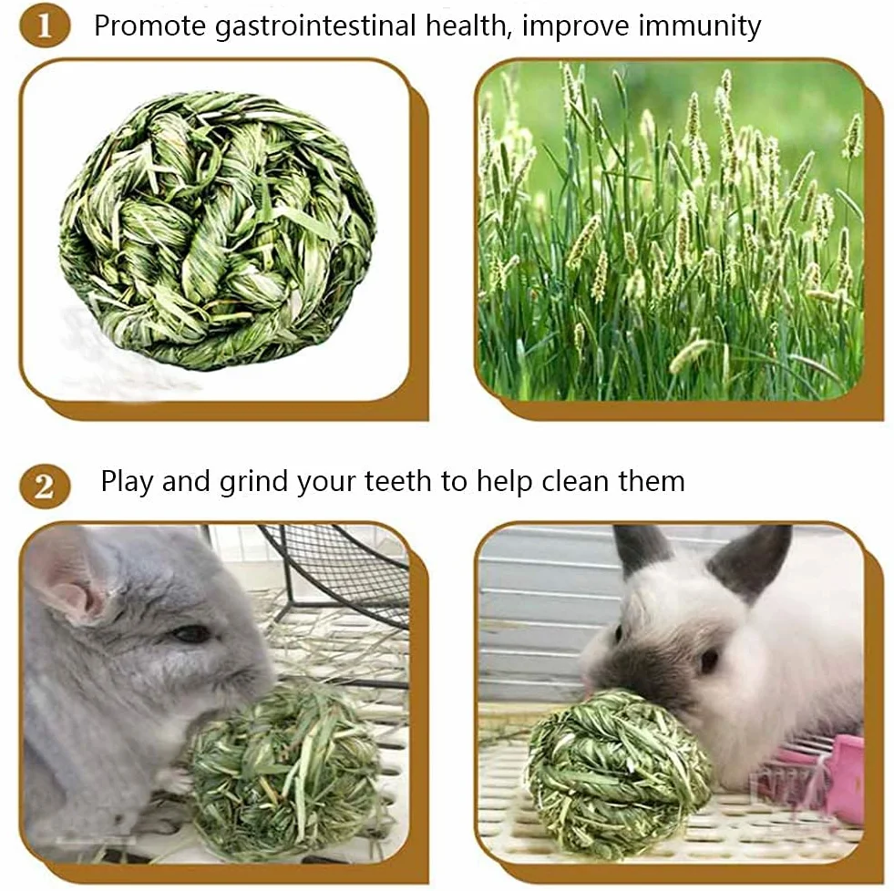 Boule d'herbe de Timothy Jouets Mâcher pour Petits Animaux Lapins Hamsters 6 Pièces