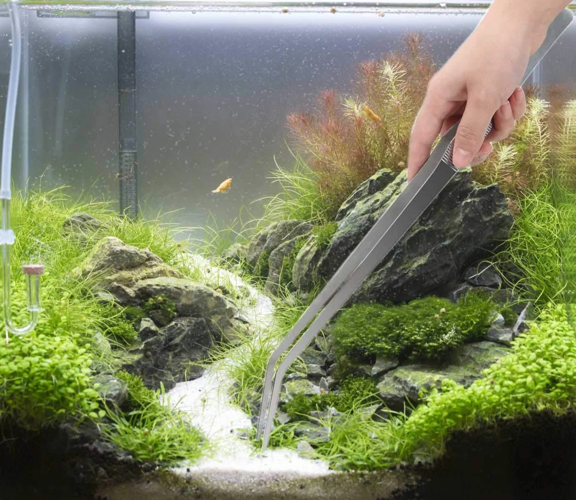 Pince Aquarium Longue 38 cm Acier Inoxydable INOX Brucelles Courbes Droites Aquascaping Kit