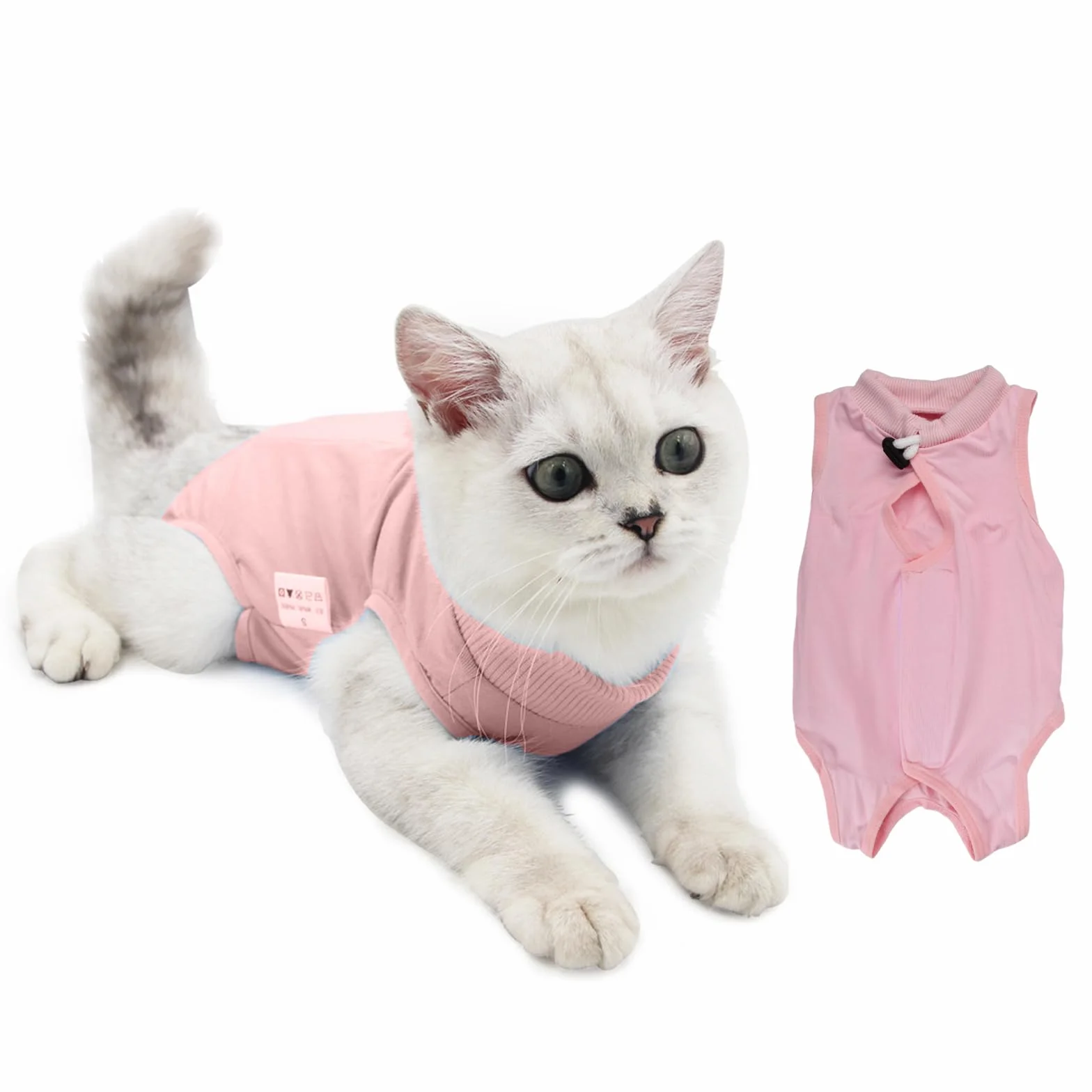 Combinaison de Récupération Anti Léchage pour Chat - Protection Plaies Abdominales (Medium, Rose)