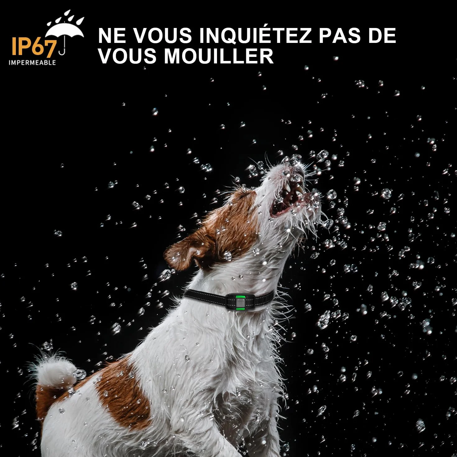 Collier de Dressage pour Chien Télécommande 3 Modes Bip Vibration Choc Portée 1000m Étanche IP67 Réglable 12-65cm Recharge Rapide