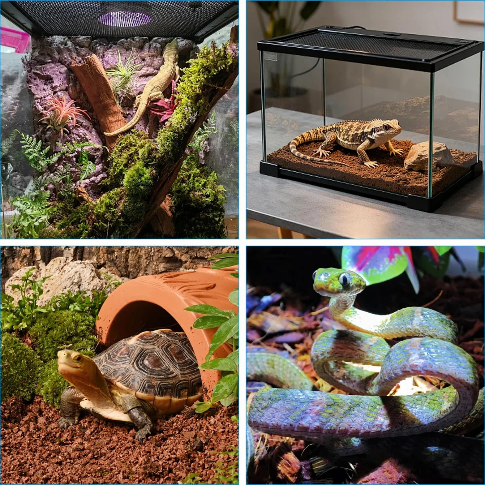 Système de Brumisation Intelligent pour Reptiles, Brumisateur Terrarium Automatique avec Minuterie, Double Buses Réglables 360°