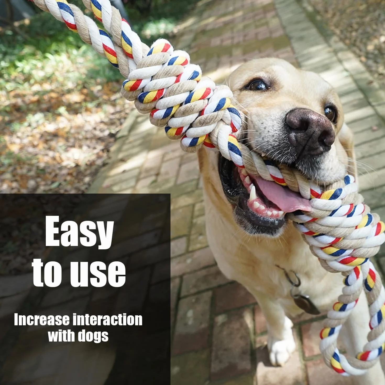 Corde de 40 cm pour Chien - Jouet Durable à Mâcher pour Petite et Moyenne Taille