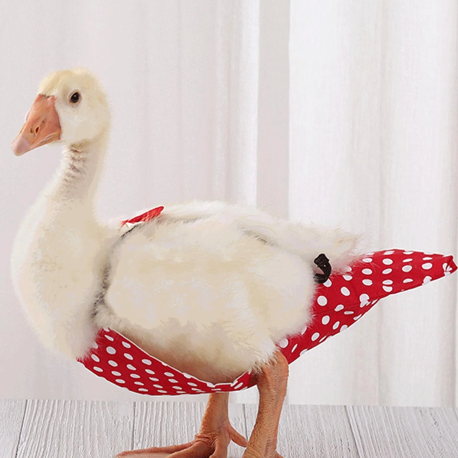 Couches pour Canards et Poules - Couches Réutilisables pour Volailles avec Nœud Papillon