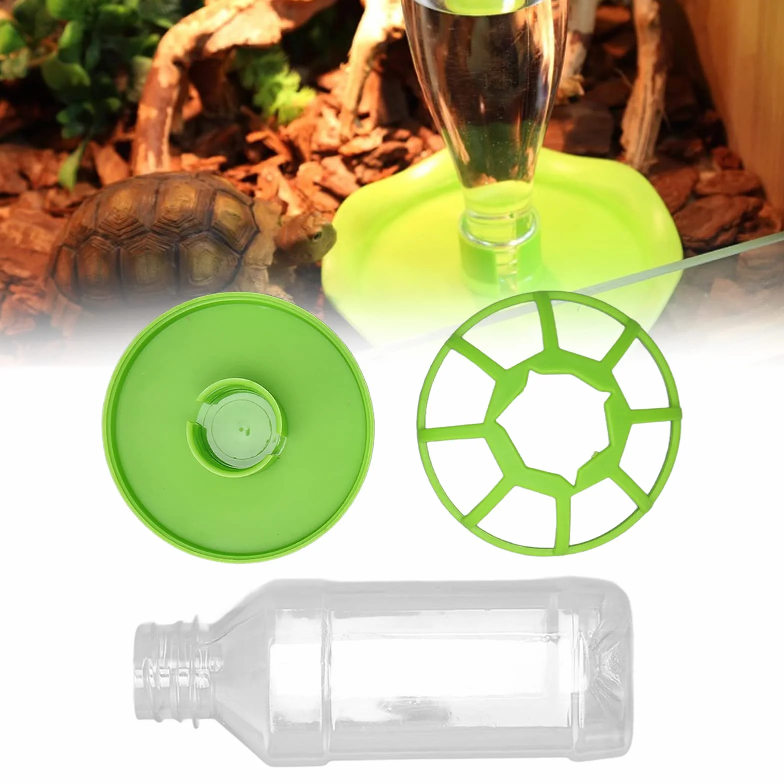 Distributeur d'eau de Reptile pour Tortue Lézard, Mangeoires Automatiques, Bol d'eau Grand