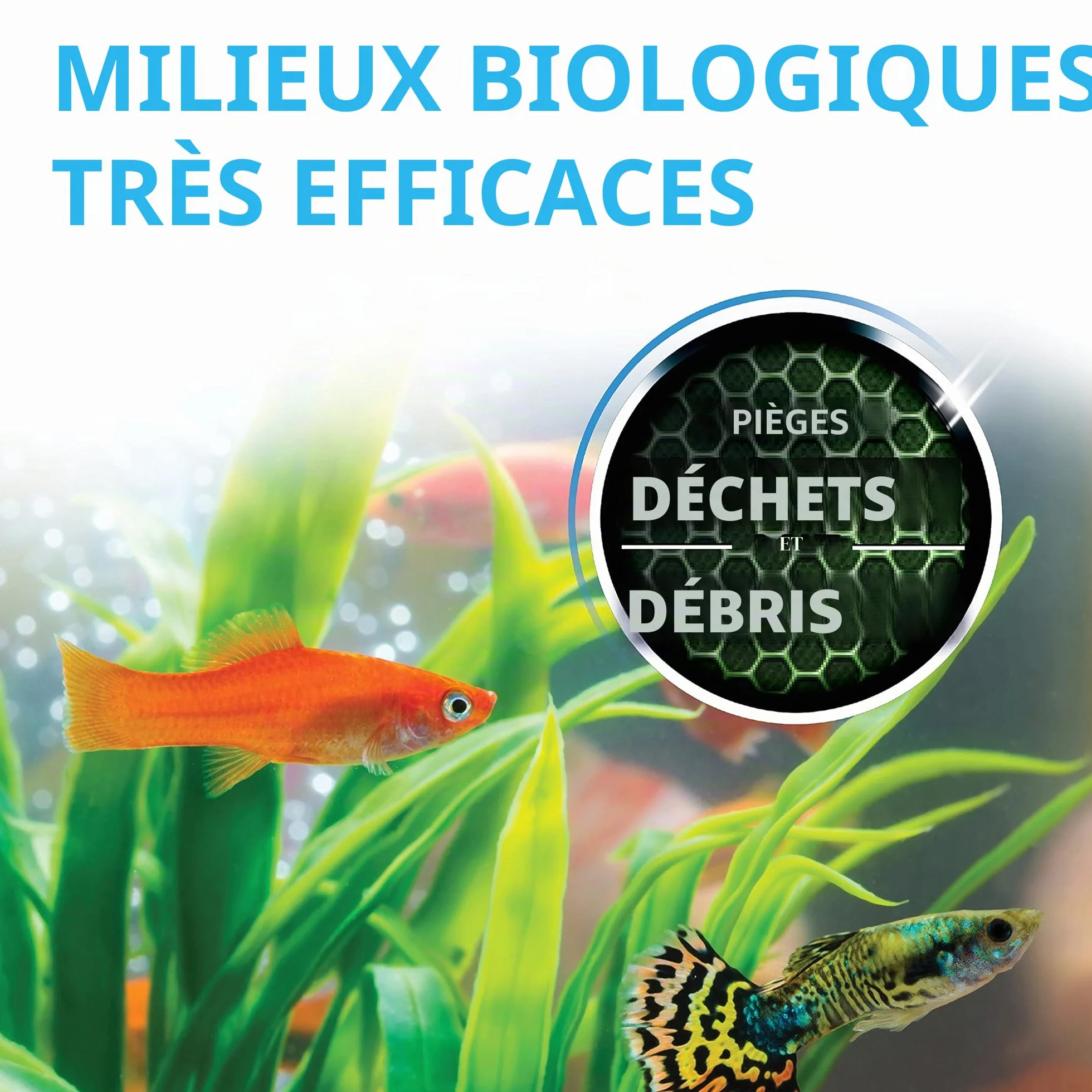 FLUVAL Préfiltre pour Aquariophilie 750 g