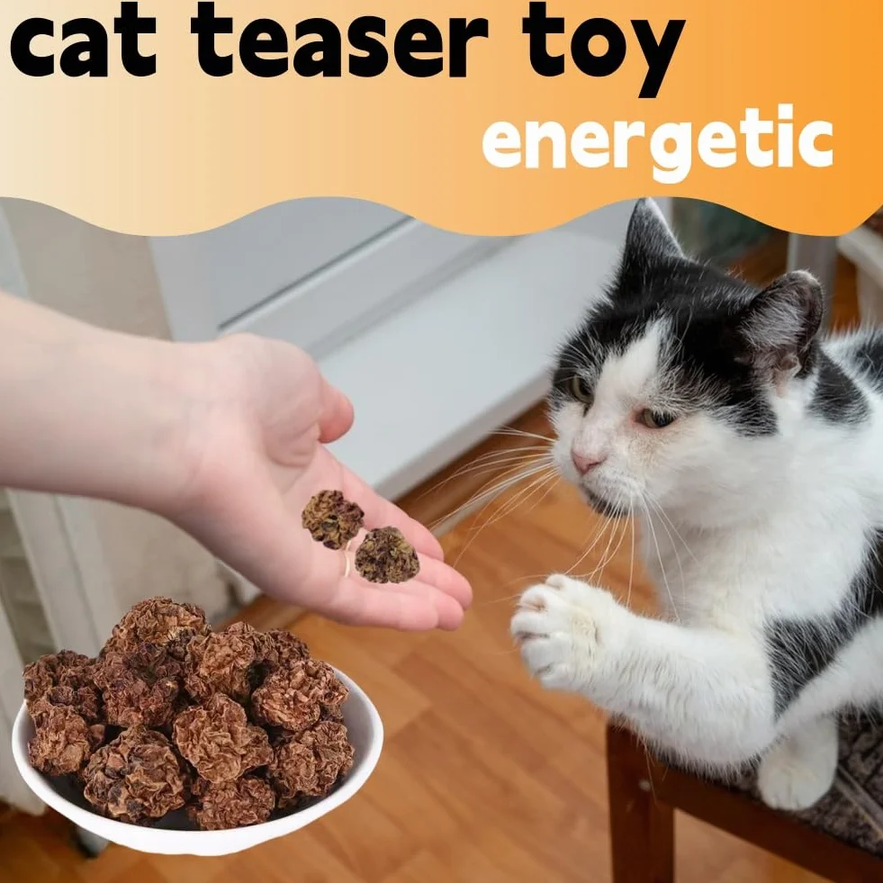 Matatabi Fruits Jouets pour Chat 20pcs