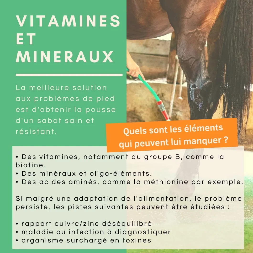 Huile de Laurier Bio Soin du Sabot Pousse et Résistance de la Corne Cheval