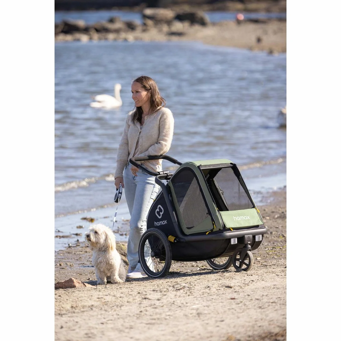 Hamax Remorque Chien Pluto Suspension 3 Positions Kit Poussette Inclus Charge Max 35 kg L 45 kg Sécurité Confort