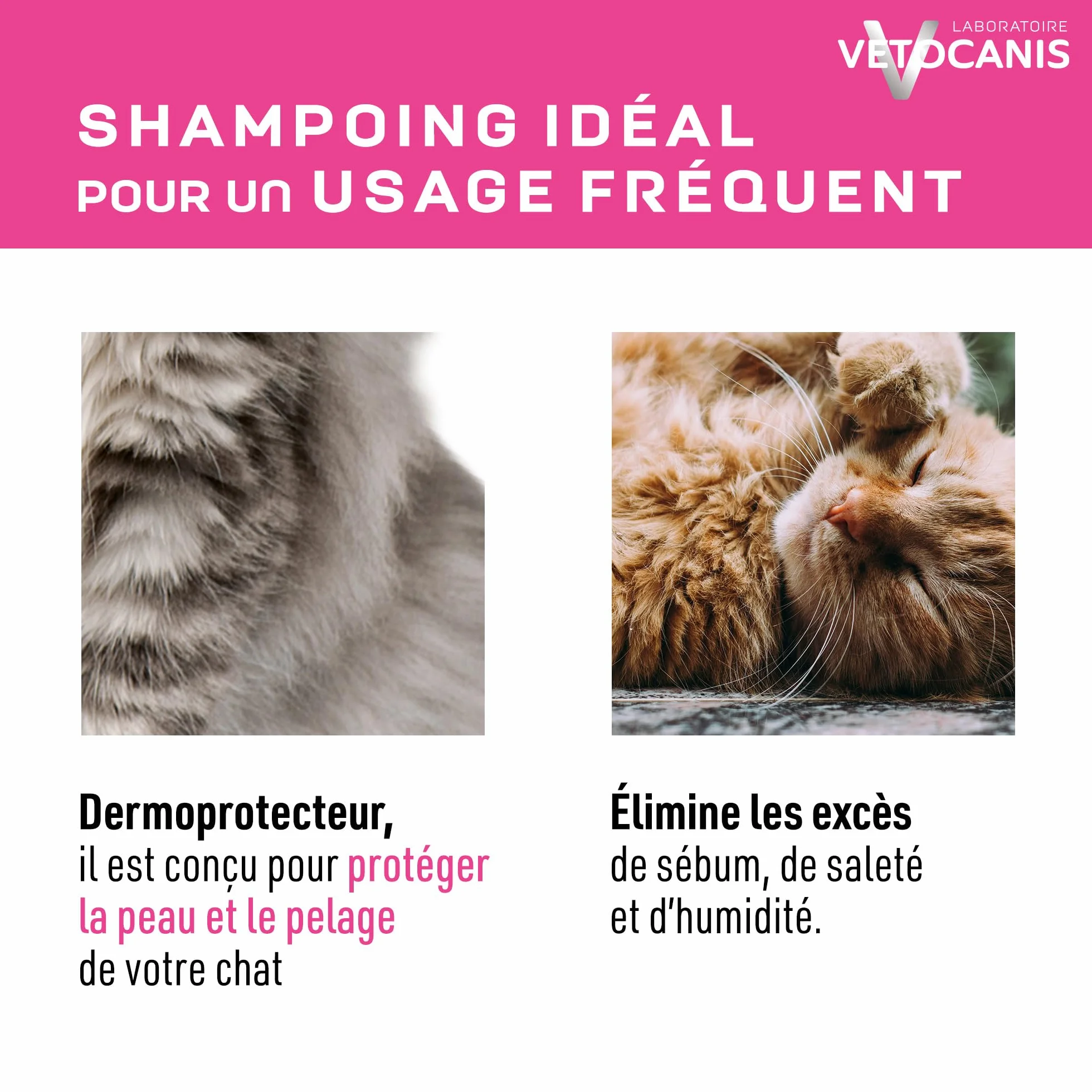 Vetocanis Shampoing Chat Dermoprotecteur 300 ml Glycérine Végétale Parfum Fleur de Lotus