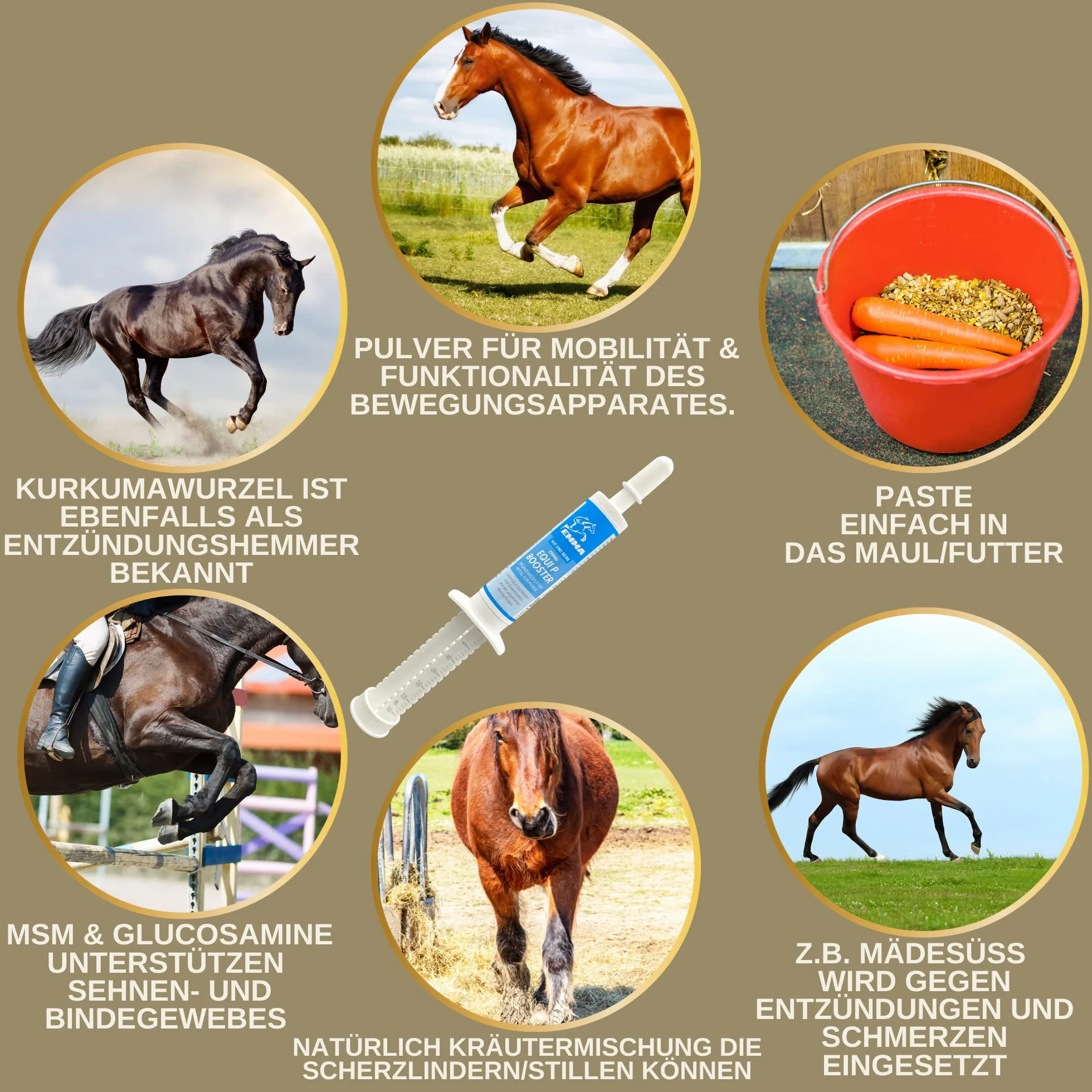 Pâte vitaminée cheval glucosamine chondroïtine haute dose appareil locomoteur articulations tendons ligaments