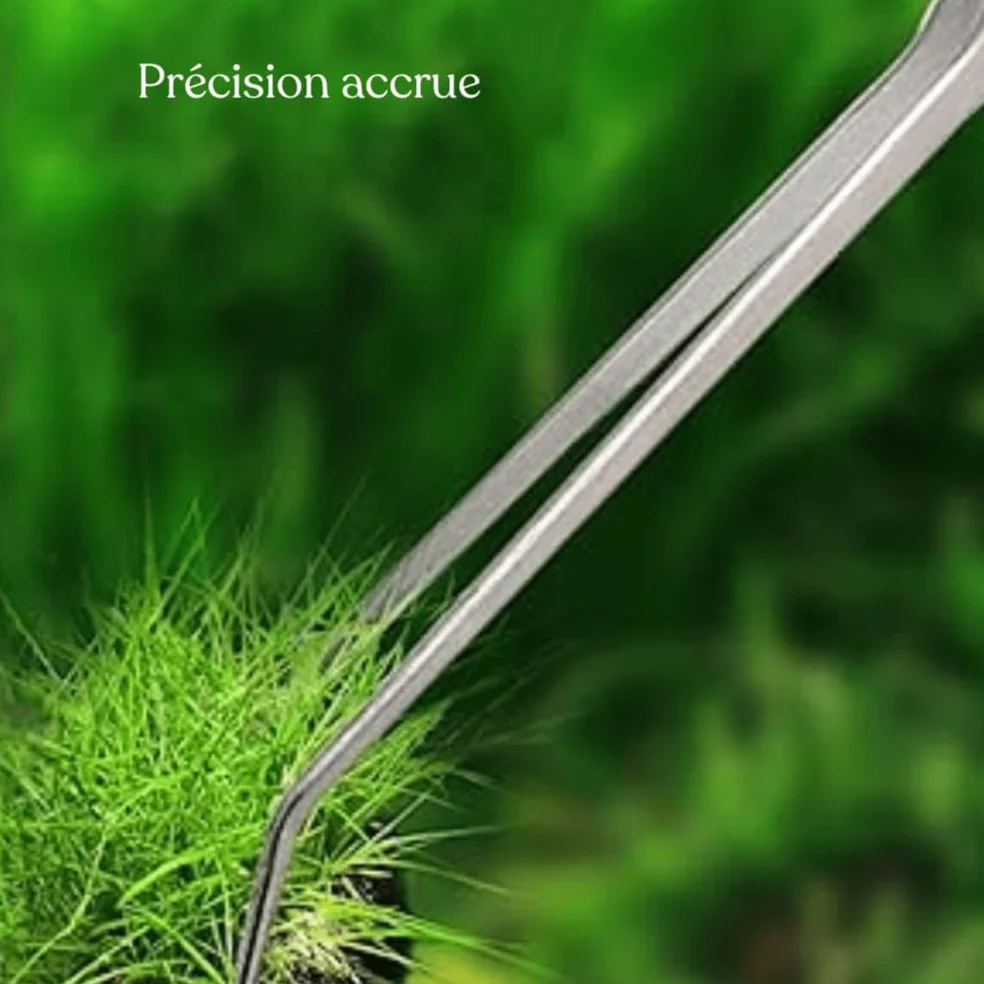 Lot de 2 Pinces pour Aquarium en Acier Inoxydable 18 cm - Courbée et Droite