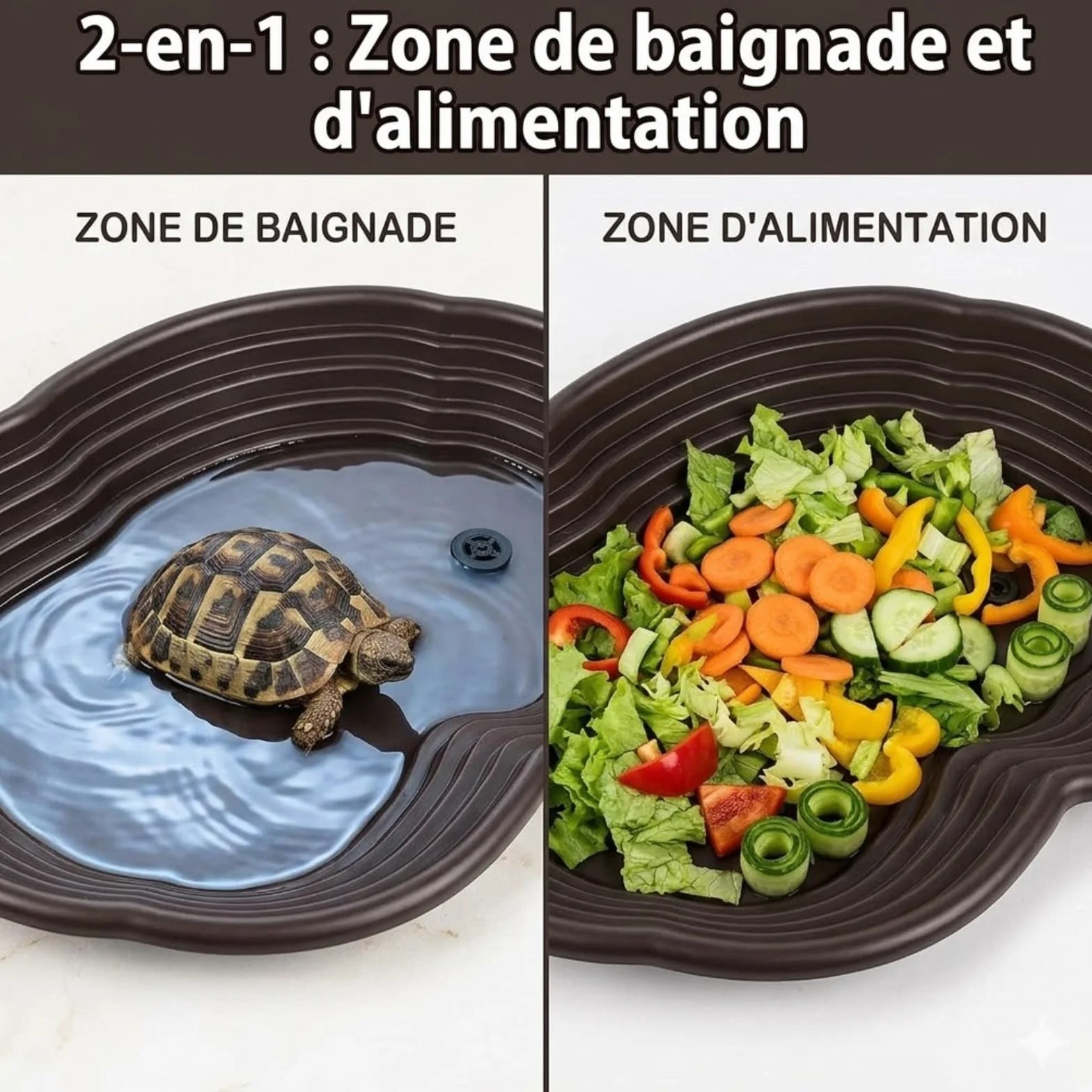 Plat d'eau Tortue avec Rampe et Plate-Forme pour Reptiles - Alimentation Intégrée