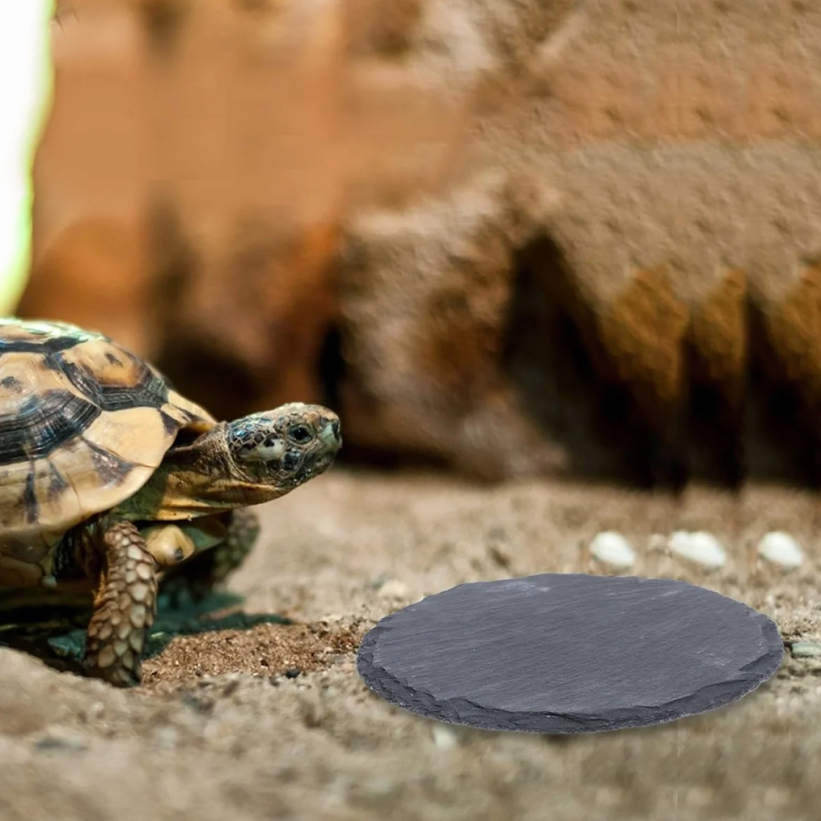 Lot de 2 Plateformes en Pierre pour Tortues, Ardoise Naturelle 10x10 cm, Accessoire Terrarium Reptile