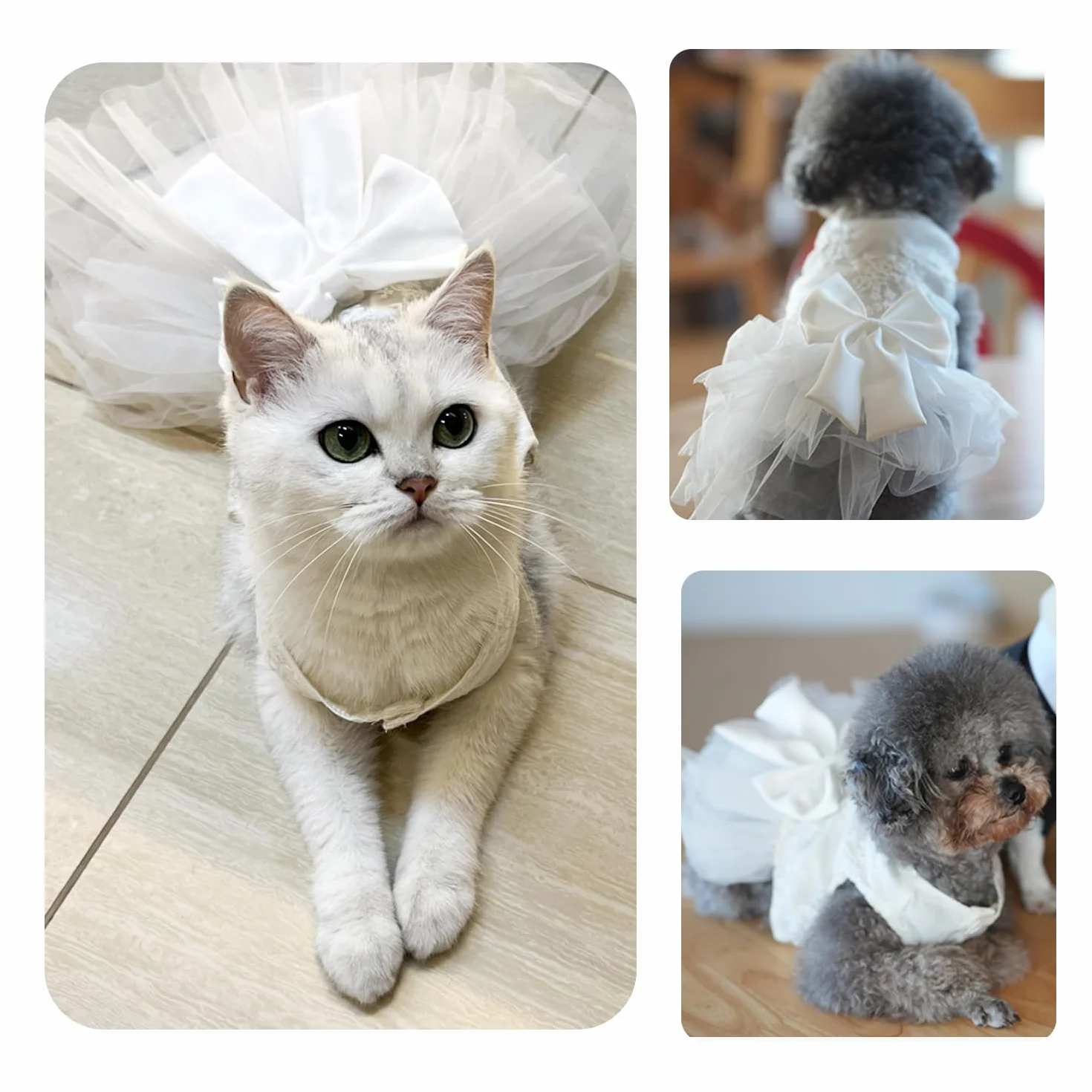 Robe de mariage blanche broderie dentelle jupe tutu princesse chiot petite moyenne taille costume chat 4XL