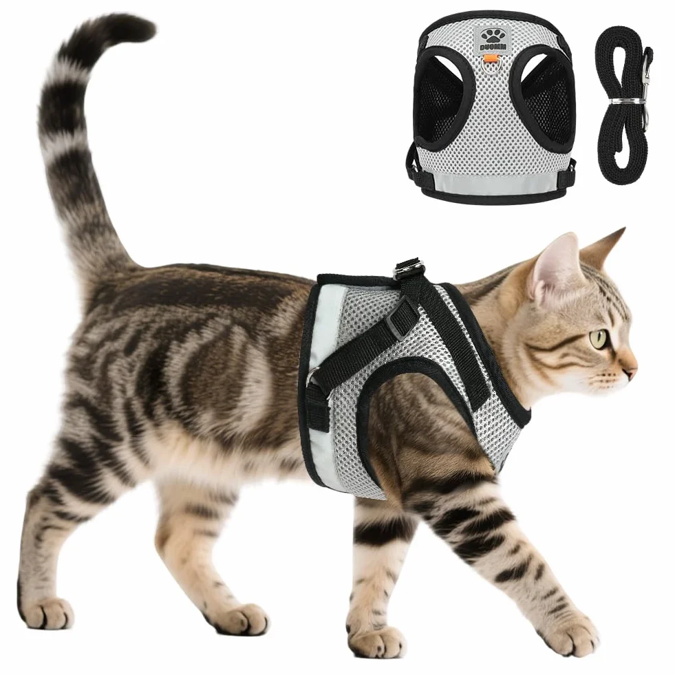 Harnais pour Chat Respirant Souple Réglable Anti Évasion avec Laisse 1.5m AUYAO