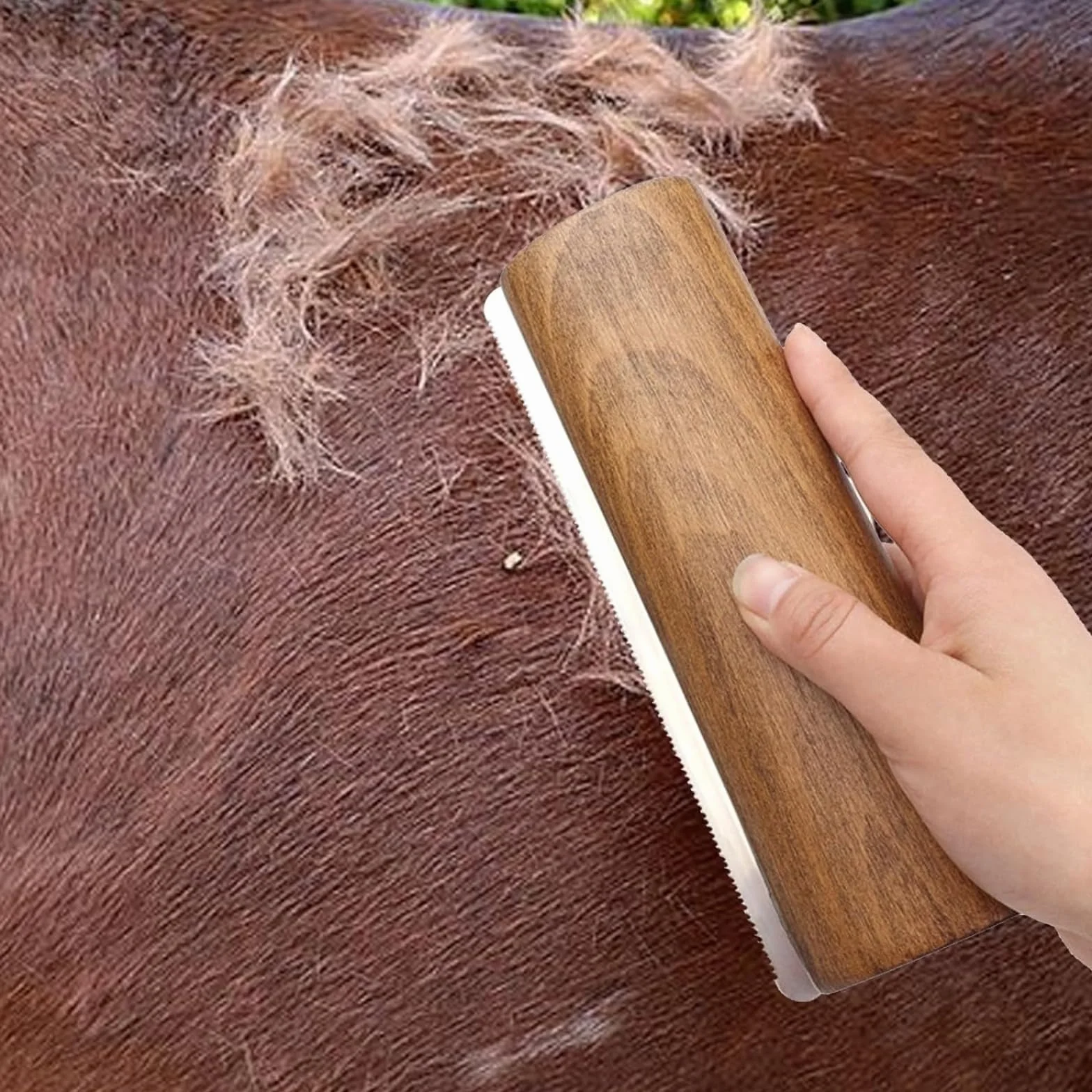 Brosse à excrétion de chevaux avec poignée en bois Brosse à poils de cheval Outil de toilettage pour chien chatte