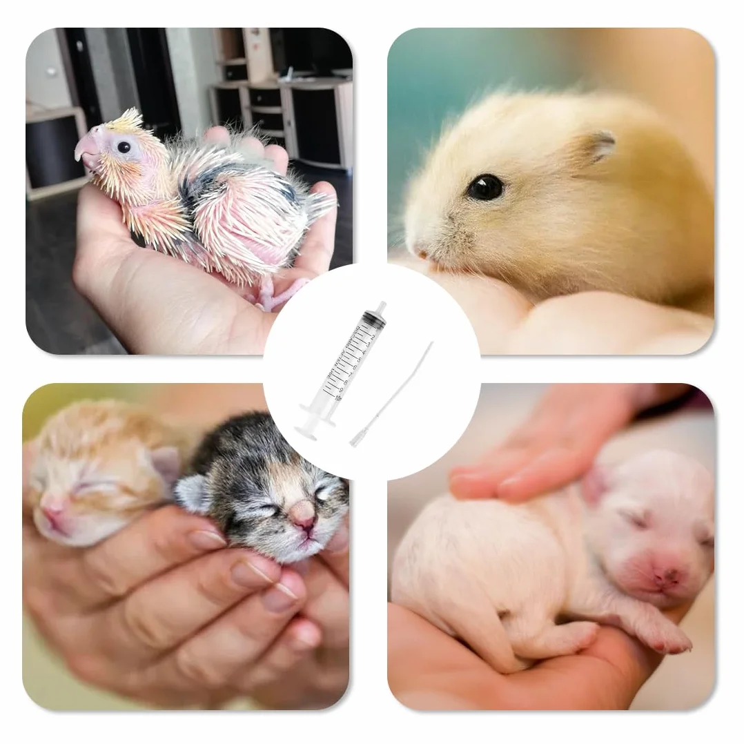 Tubes d'Alimentation pour Oisillons 10 Pièces, Accessoires pour Pigeons, Outil d'Alimentation Manuelle pour Bébés Oiseaux et Perroquets