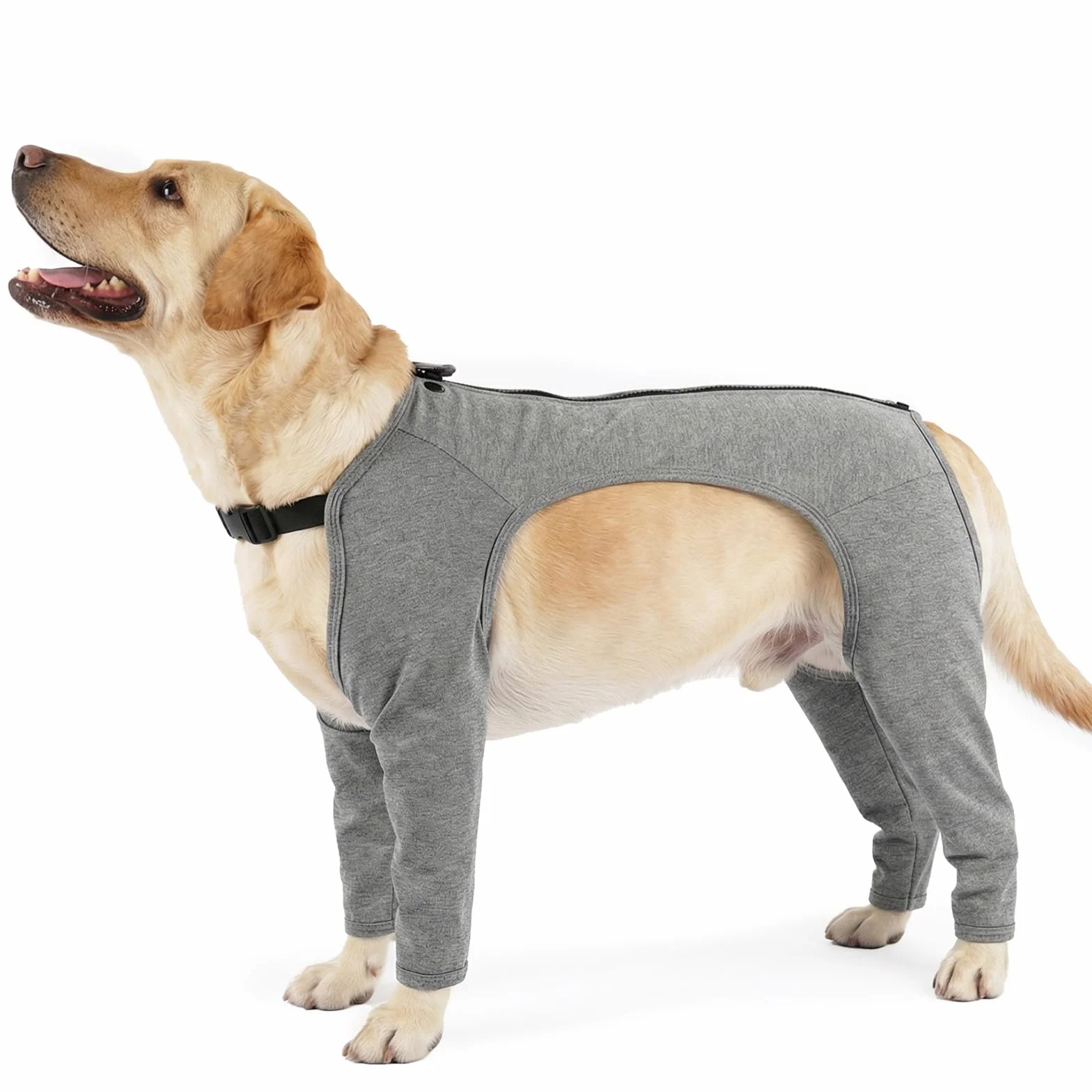 Body Post Opératoire Chien Manchon Patte Avant Vêtement Chirurgie Doux Anti Léchage Récupération Pattes Arrière TPLO LCA Gris XL