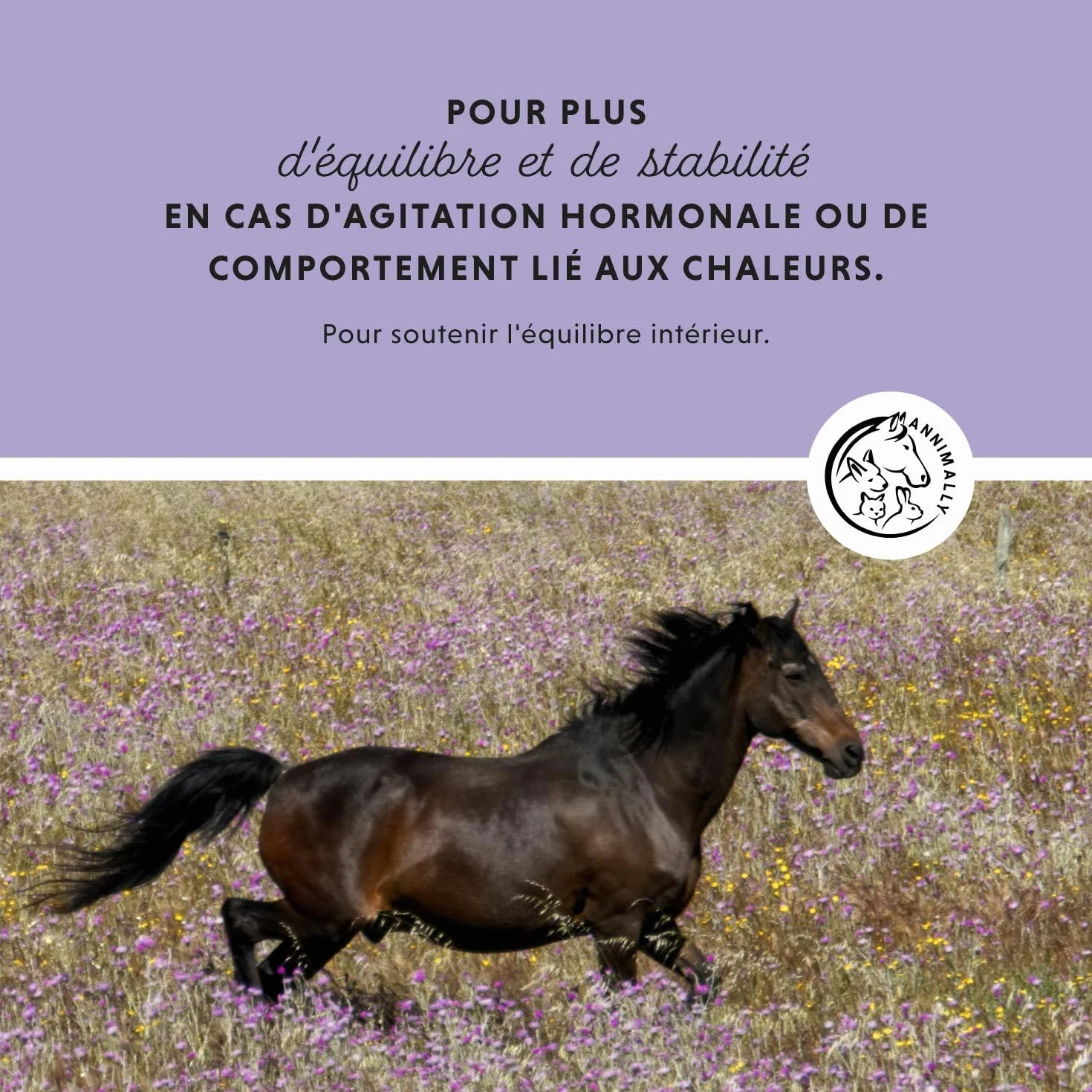 Annimally Liquide de Gattilier pour Chevaux 1000ml Ashwagandha Magnésium Racine de Réglisse