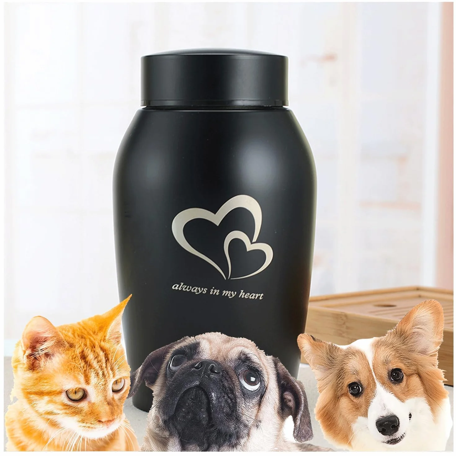 Urne commémorative en acier inoxydable pour animaux de compagnie, chiens et chats (Noir)