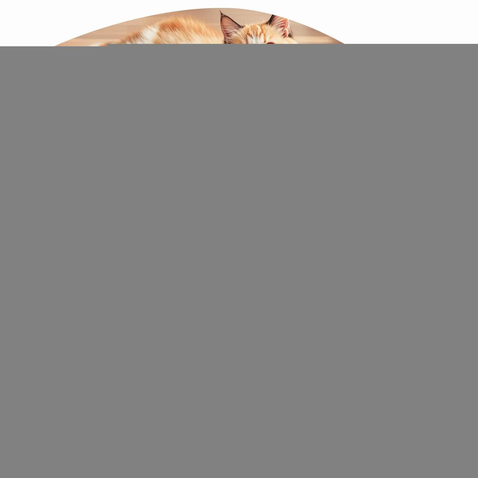 Parc d'Activités pour Chats avec Tente et Tunnel Interactif pour Chaton et Petit Animal