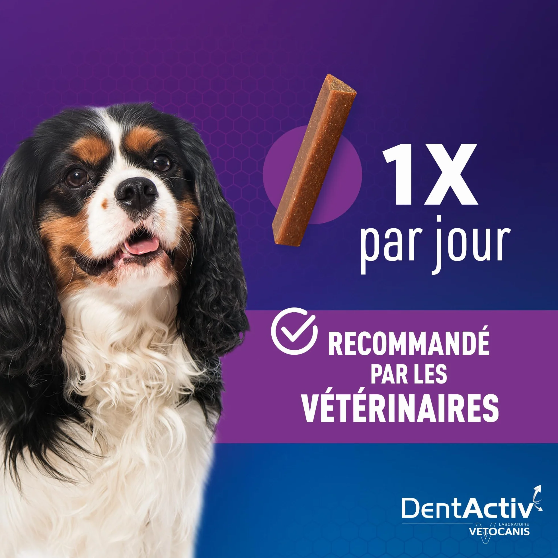 Vetocanis Dentactiv Stick Dentaire Friandises pour Chien 85% Poulet Hygiène Santé 2-15kg