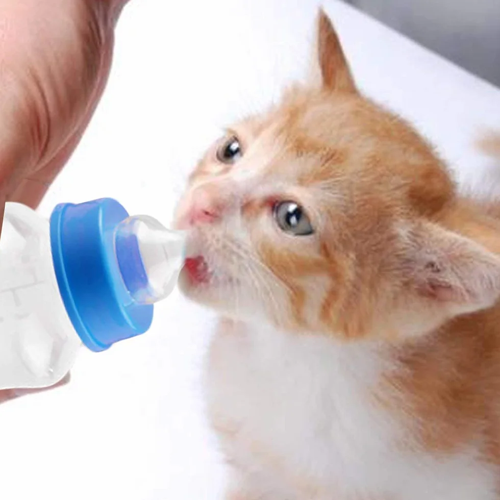 Biberon D'Élevage pour Chien et Chat 150 ML avec Brosse de Nettoyage, Kit Allaitement