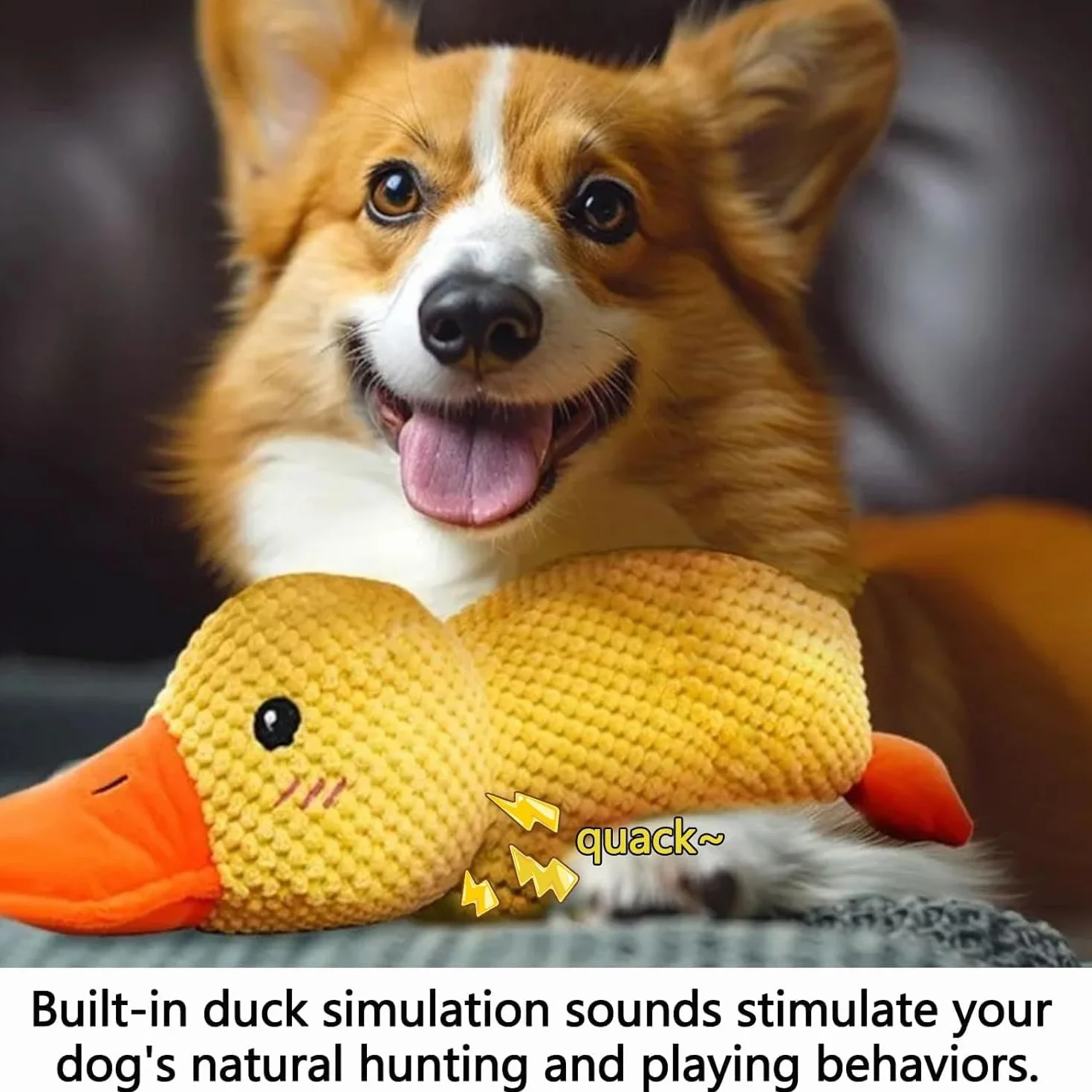 Indestructible Canard Peluche pour Chien Anti-Stress Petite Moyenne Grande