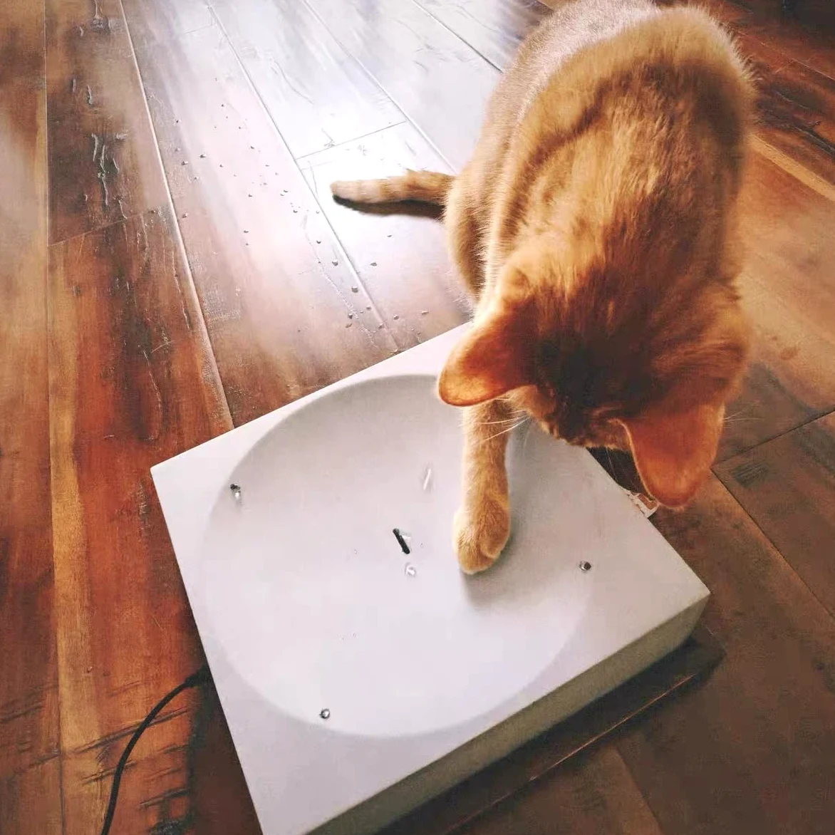 Jouet électrique pour chat - Goutte d'eau automatique - Sculpture moderne pour chats et chiens d'intérieur