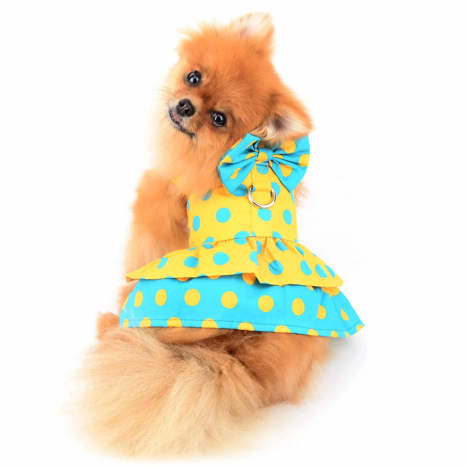 Robe Harnais pour Chien avec Laisse et Nœud - Anneau en D - Vêtements d'été - Pois Jaunes - Taille M