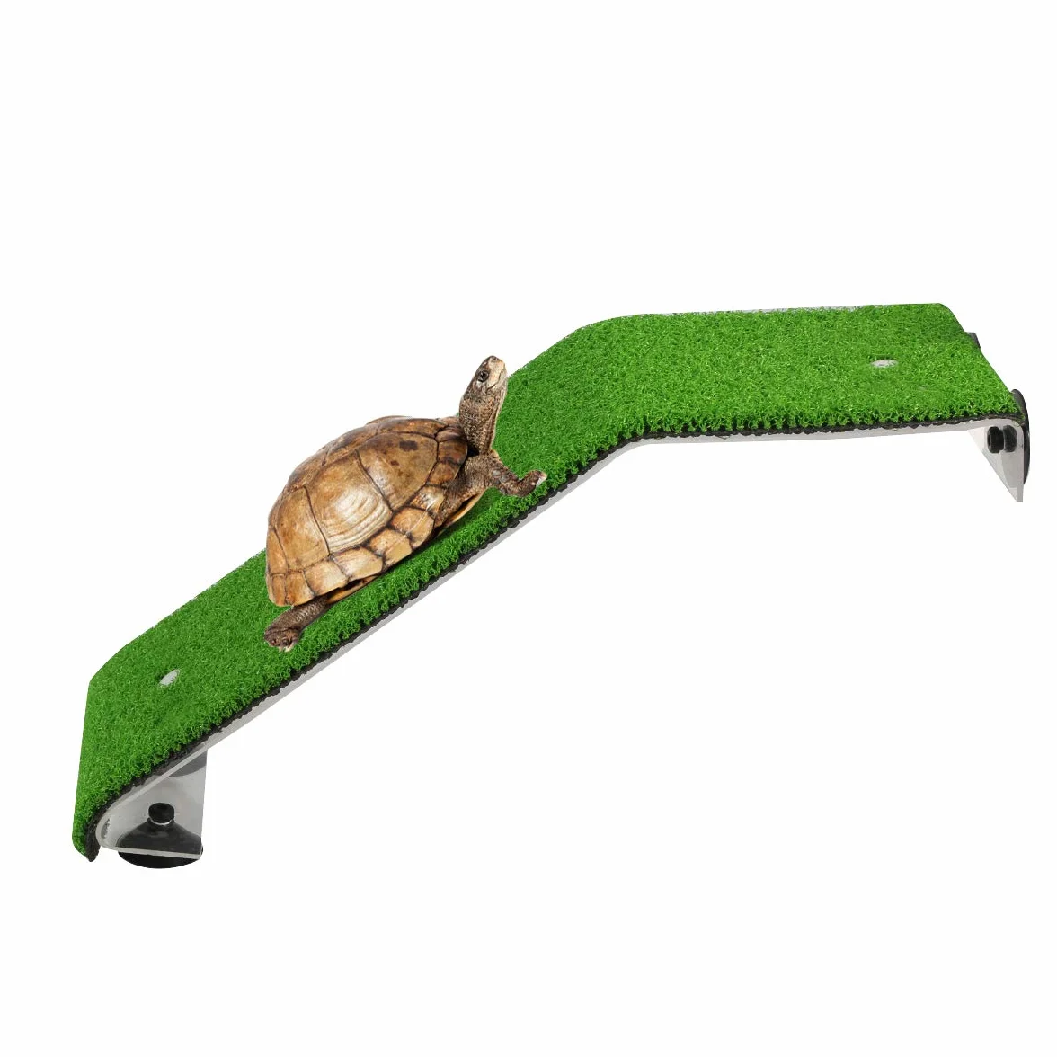 SOONHUA Tortue Aquarium Simulé Pelouse Plateforme Échelle pour Tortues Grenouilles Tritons Salamandres