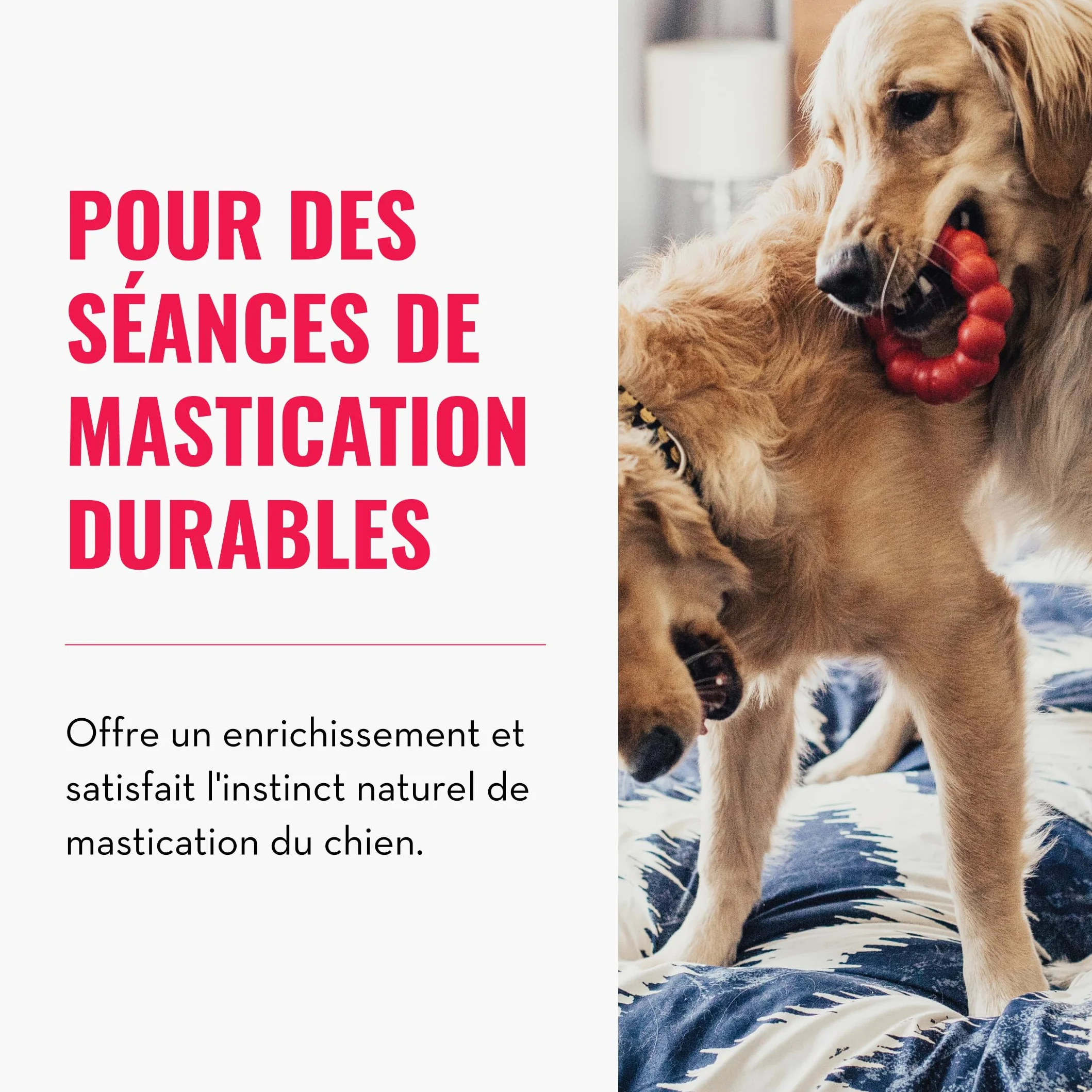 KONG Ring Jouet à Mâcher pour Chien Caoutchouc Naturel Durable Petits/Moyens
