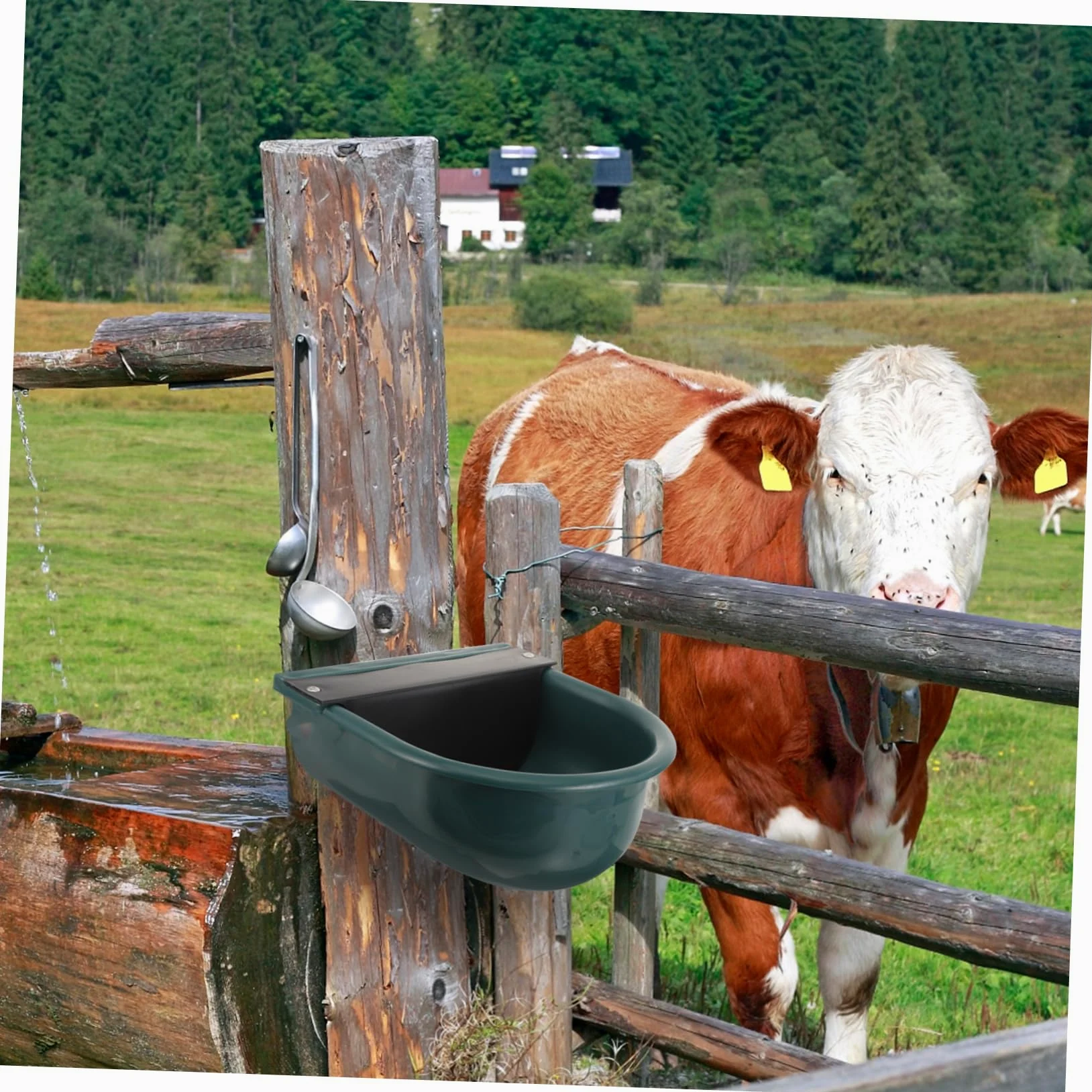 Abreuvoir Automatique Bovin en Plastique pour Vaches et Chèvres | Propre et Hygiénique, Résistance à Corrosion, Entretien Simple, Usage en Exploitation au Quotidien