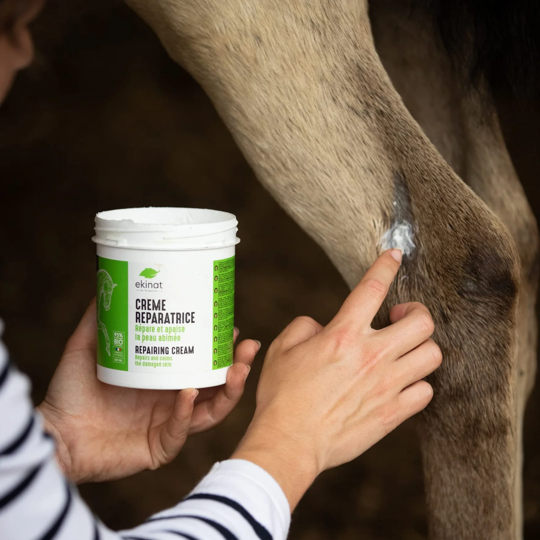Crème Réparatrice pour Chevaux