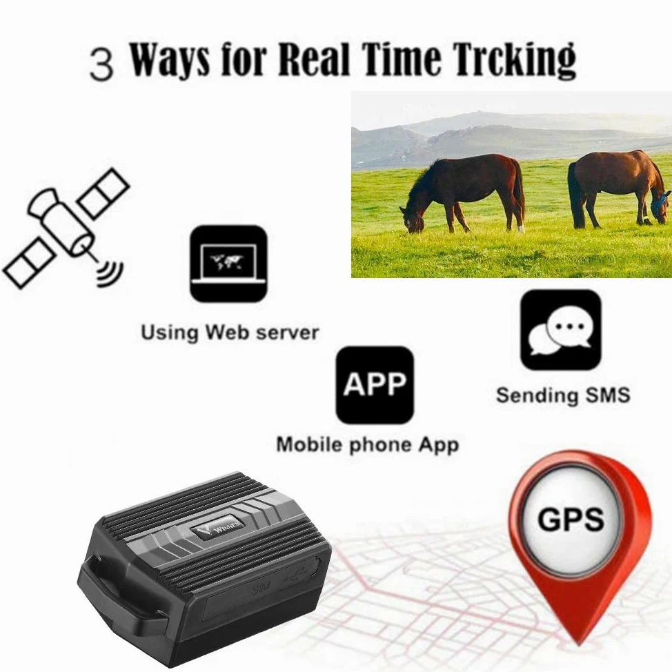 TKMARS Traceur GPS 4G pour Bétail, Localisateur GPS sans Abonnement | Suivi en Temps Réel, Clôture Virtuelle, Longue Autonomie, Étanche IP65, pour Vaches, Chevaux, Moutons et Grands Chiens