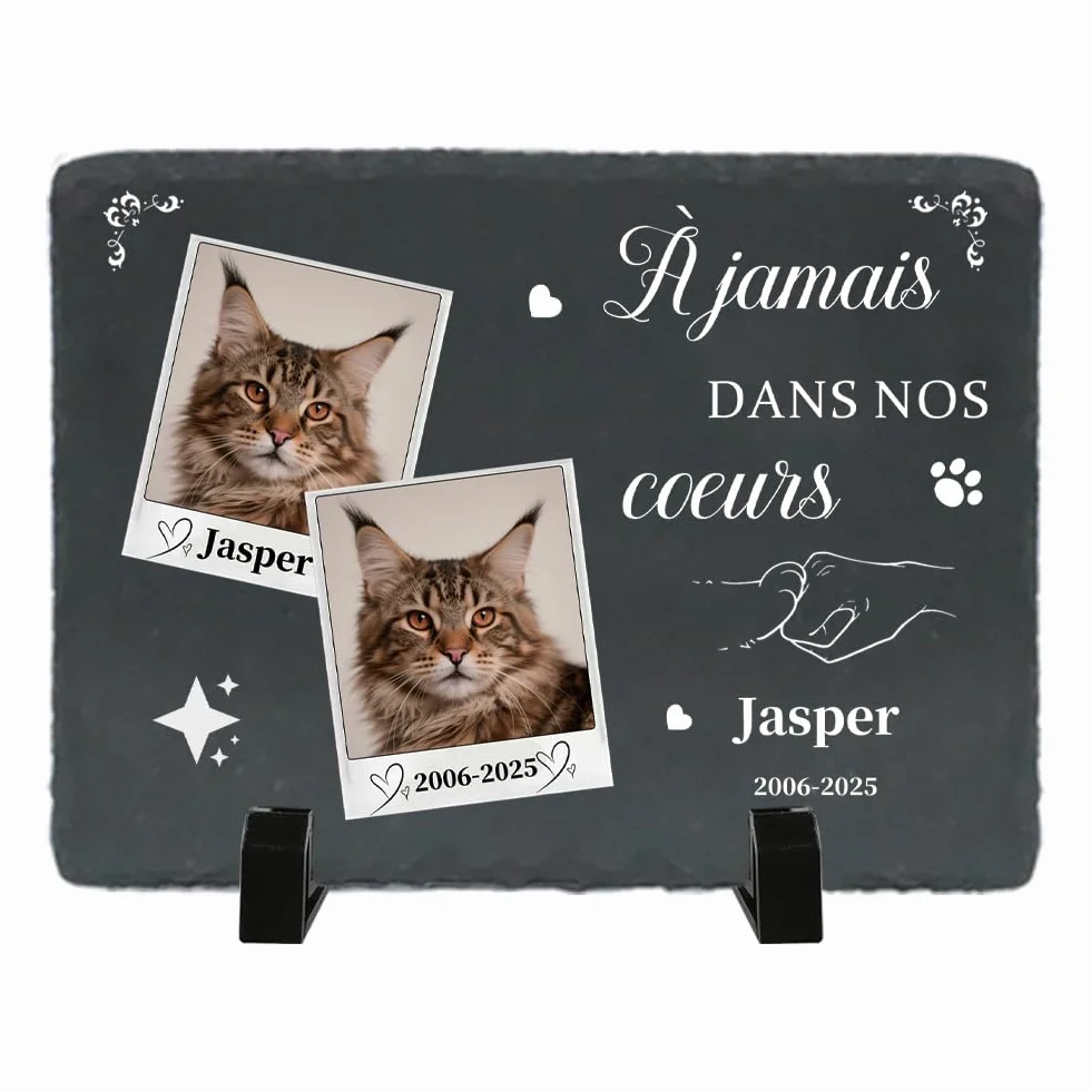 Plaque Commémorative pour Chat Pierre Tombale Personnalisée avec Photo - Cadeau Souvenir Animal Décédé - Style L