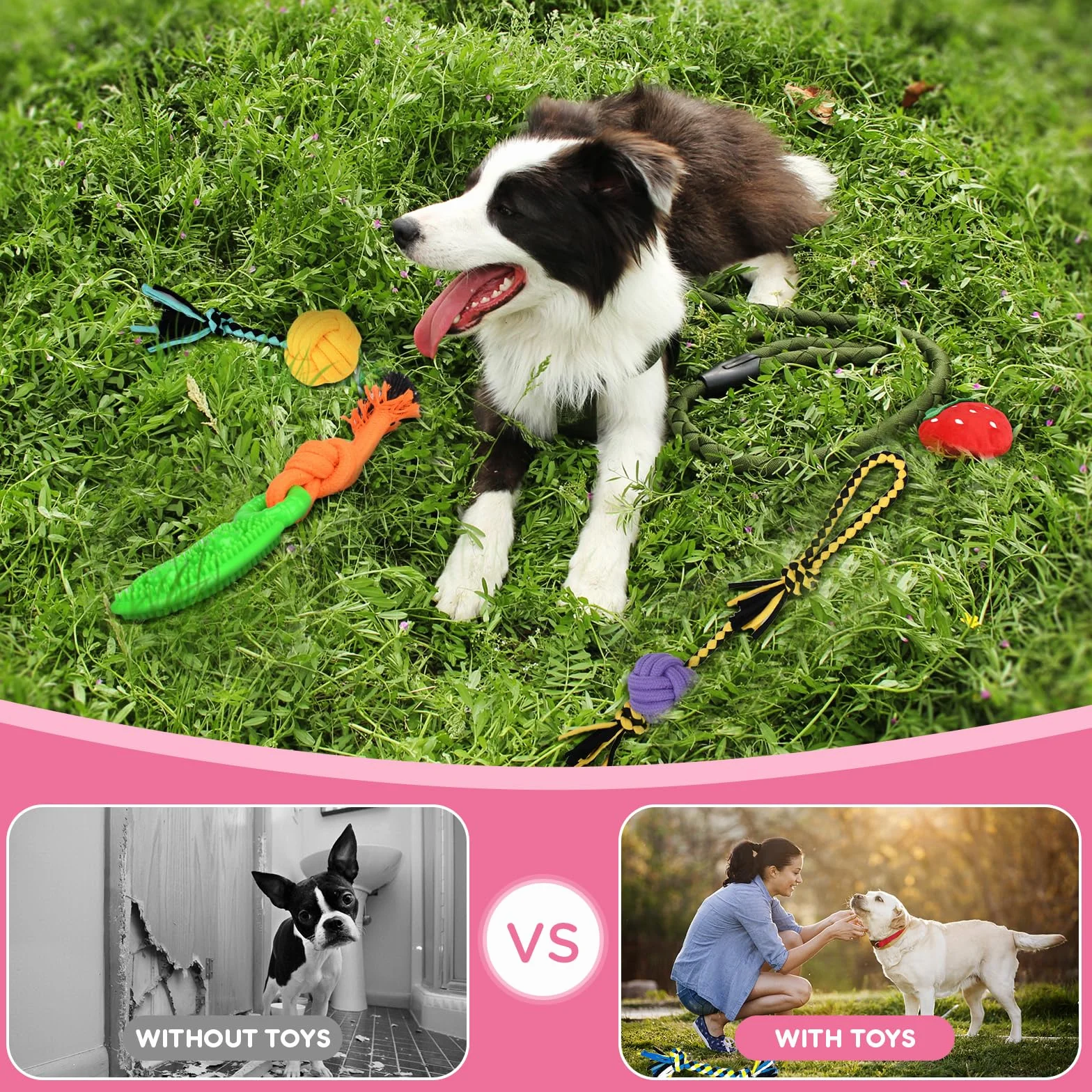 Ensemble de 20 Jouets pour Chien - Corde à Mâcher, Balle Interactive - Pour Grands, Moyens et Petits Chiens